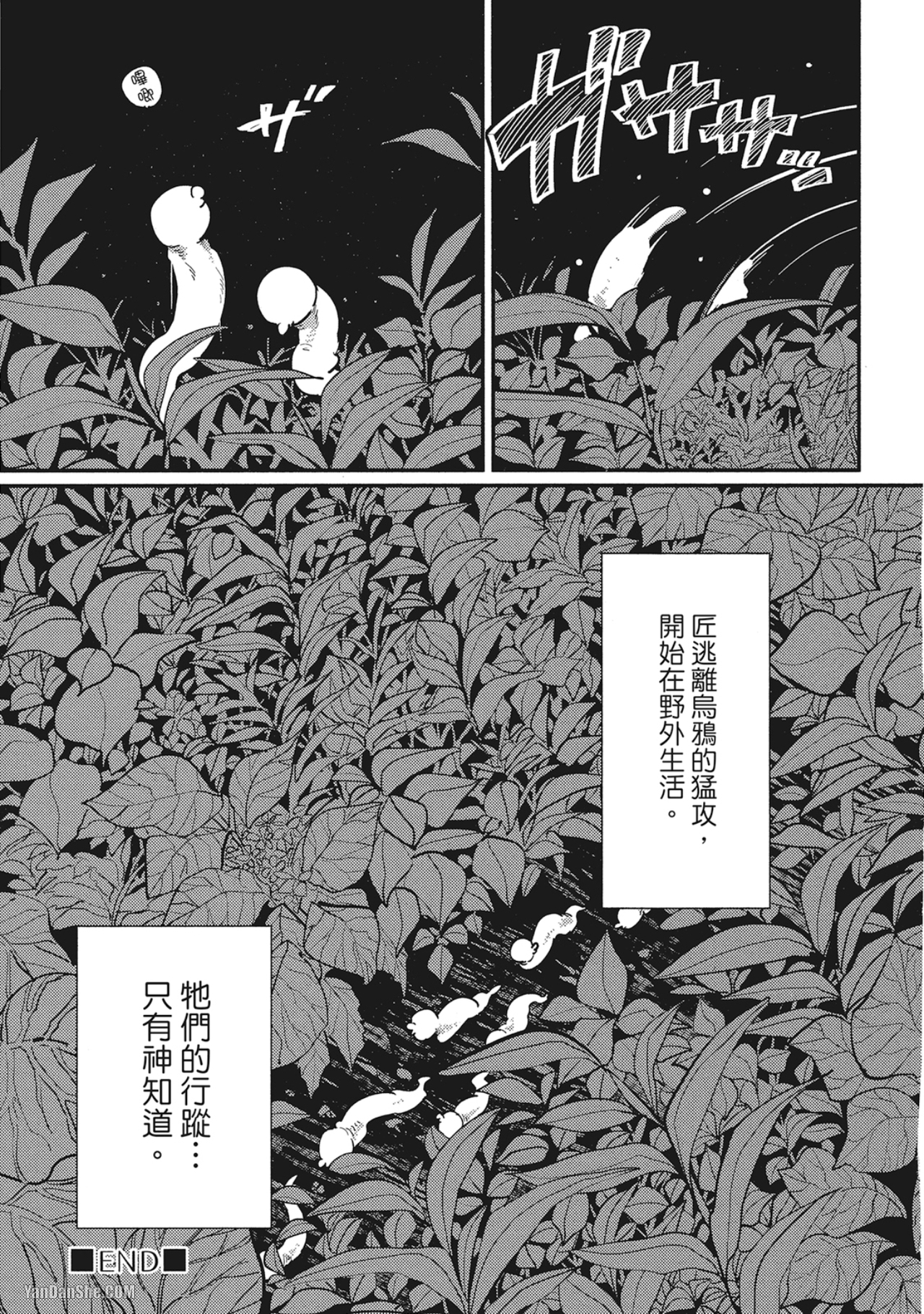 《极乐鸟日子》漫画最新章节第10话免费下拉式在线观看章节第【29】张图片