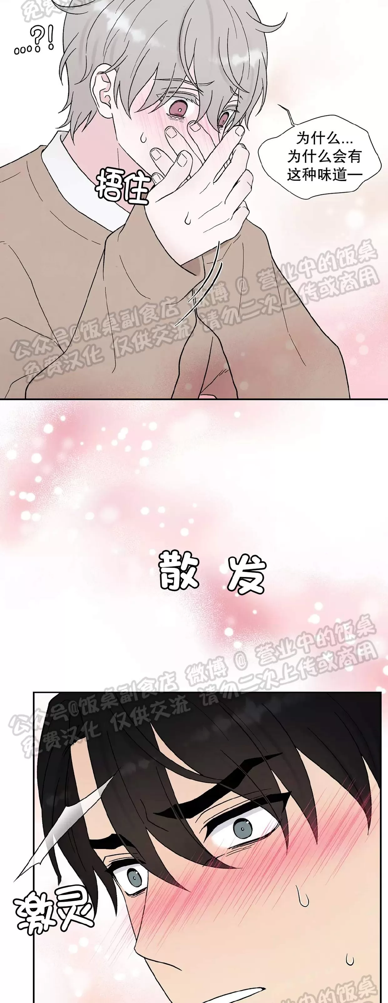 《命中注定》漫画最新章节第19话免费下拉式在线观看章节第【31】张图片