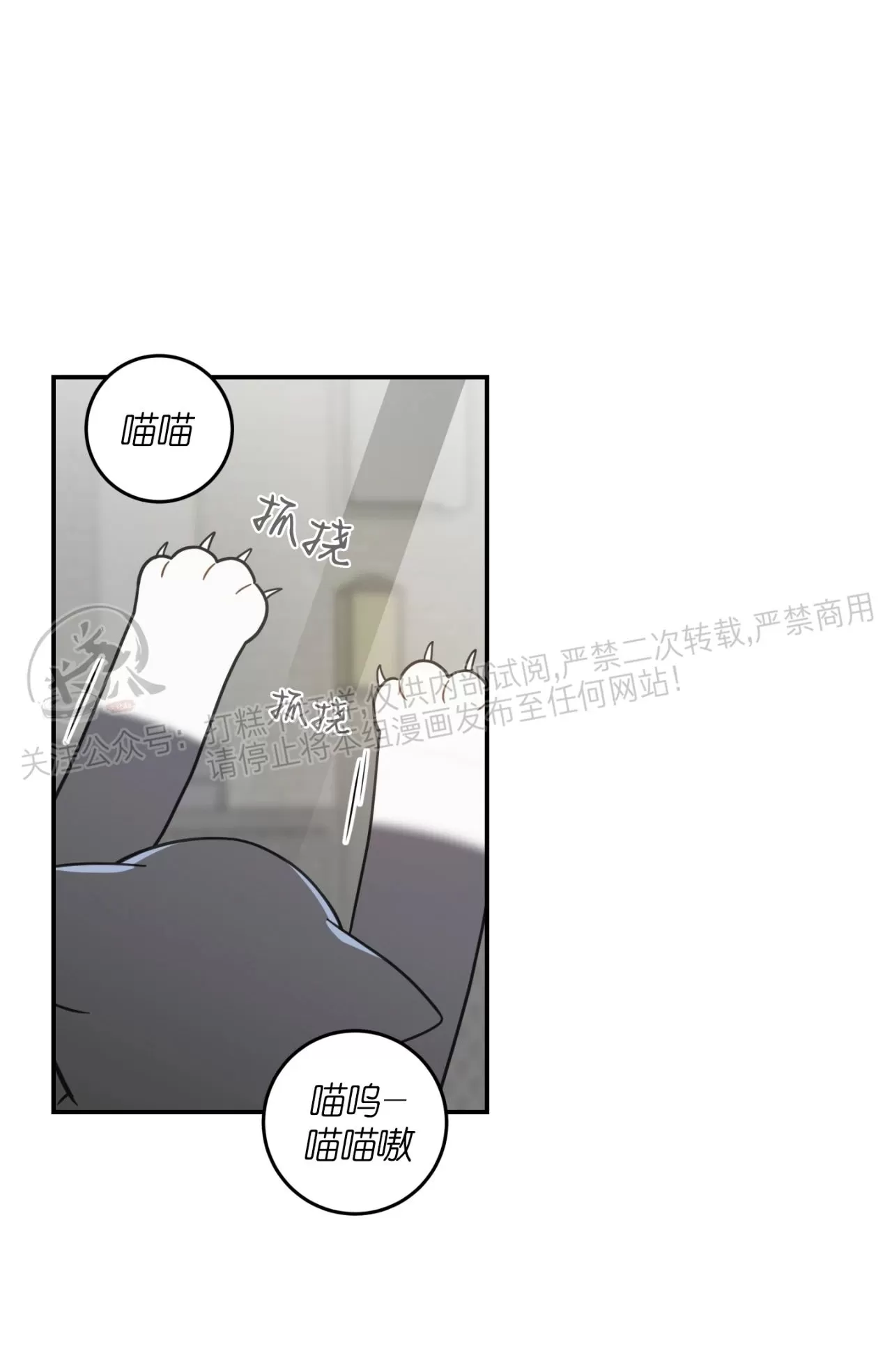 《我的专属喵喵/我的专属猫咪》漫画最新章节第57话(第三季)免费下拉式在线观看章节第【49】张图片