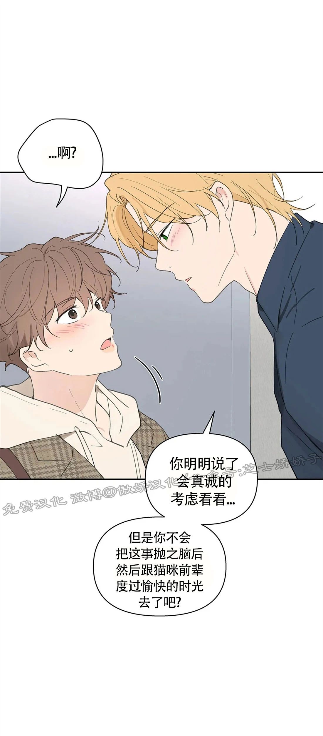 《我的专属喵喵/我的专属猫咪》漫画最新章节第58话免费下拉式在线观看章节第【5】张图片