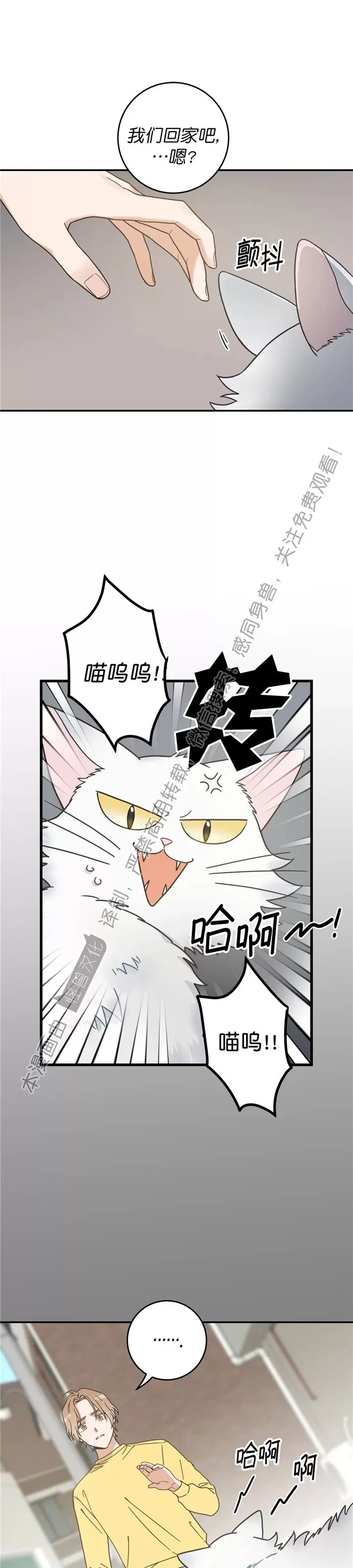 《我的专属喵喵/我的专属猫咪》漫画最新章节第60话免费下拉式在线观看章节第【20】张图片