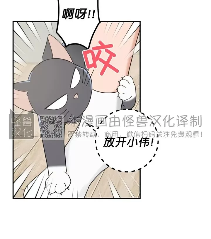 《我的专属喵喵/我的专属猫咪》漫画最新章节第61话免费下拉式在线观看章节第【32】张图片