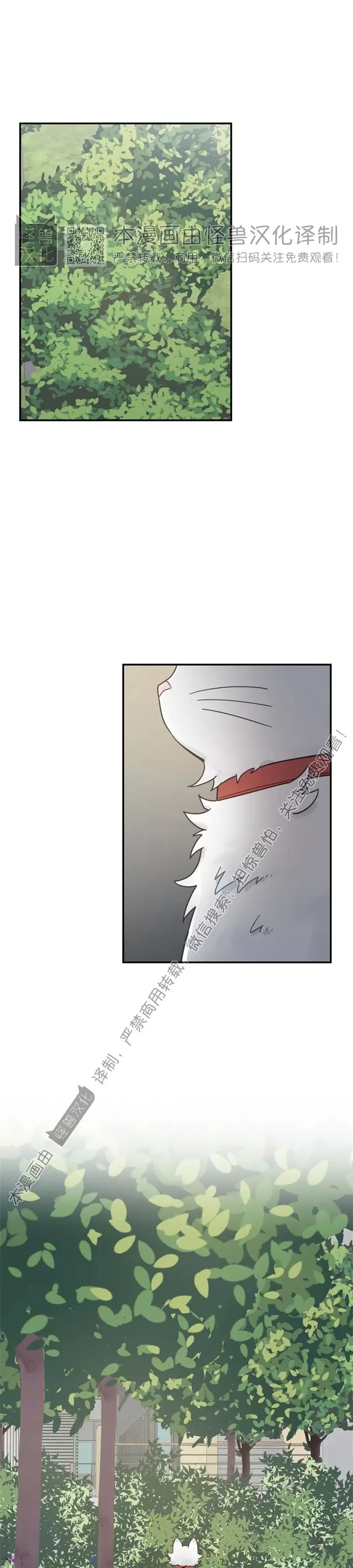 【我的专属喵喵/我的专属猫咪[耽美]】漫画-（第61话）章节漫画下拉式图片-42.jpg