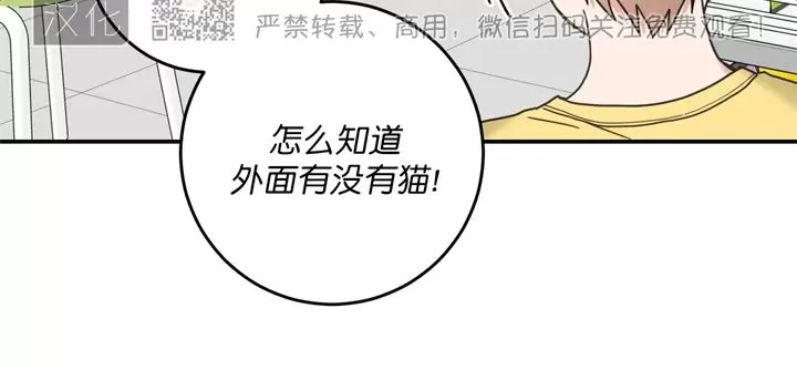 《我的专属喵喵/我的专属猫咪》漫画最新章节第62话免费下拉式在线观看章节第【2】张图片