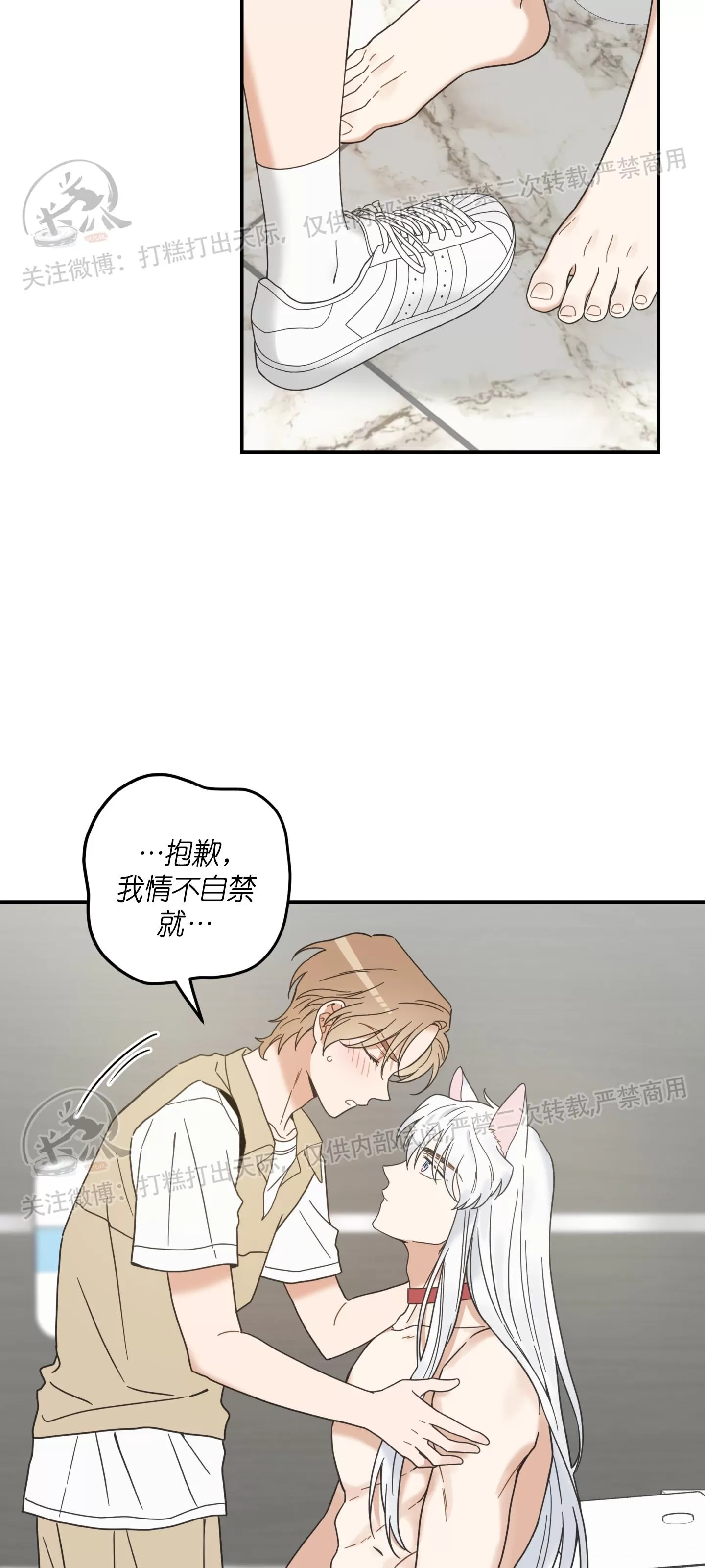 《我的专属喵喵/我的专属猫咪》漫画最新章节第63话免费下拉式在线观看章节第【6】张图片