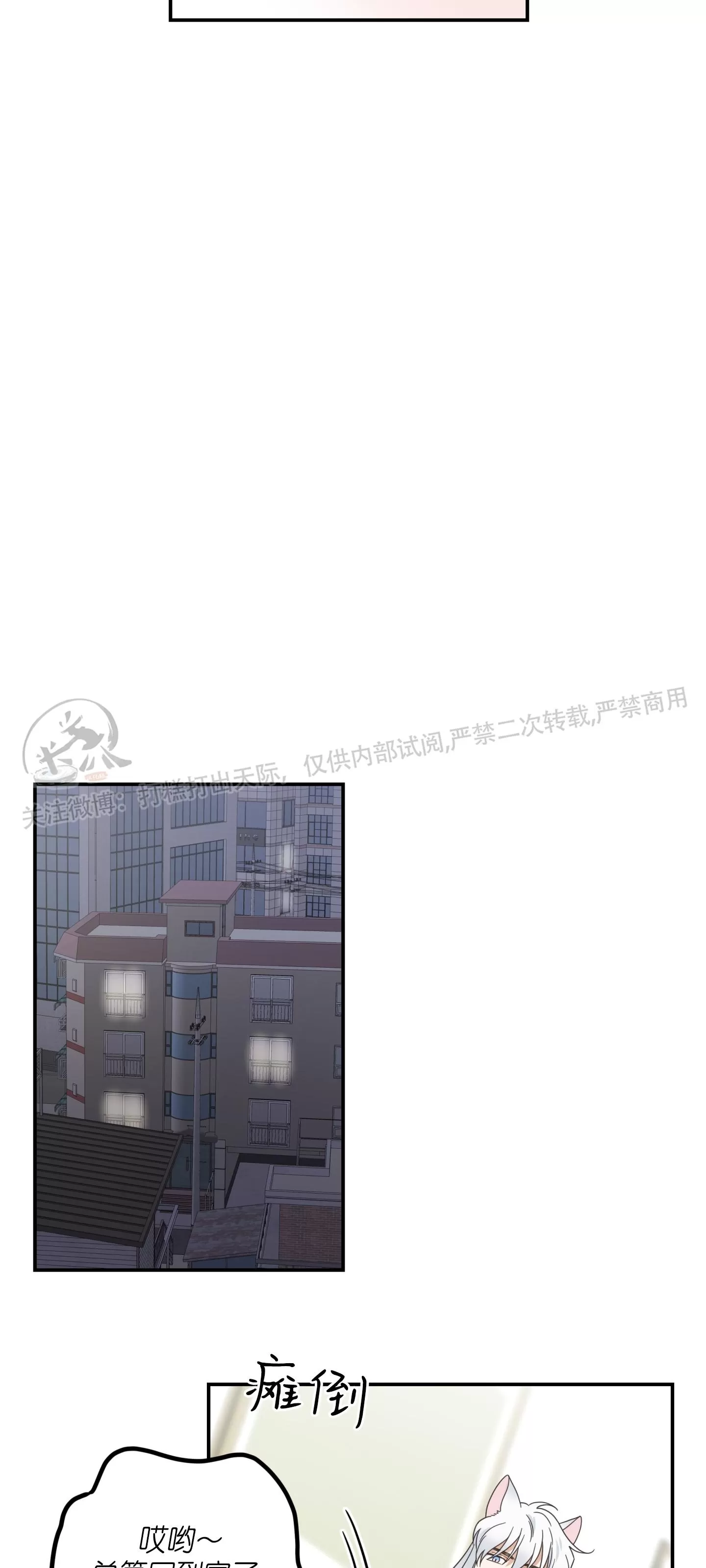 《我的专属喵喵/我的专属猫咪》漫画最新章节第63话免费下拉式在线观看章节第【24】张图片