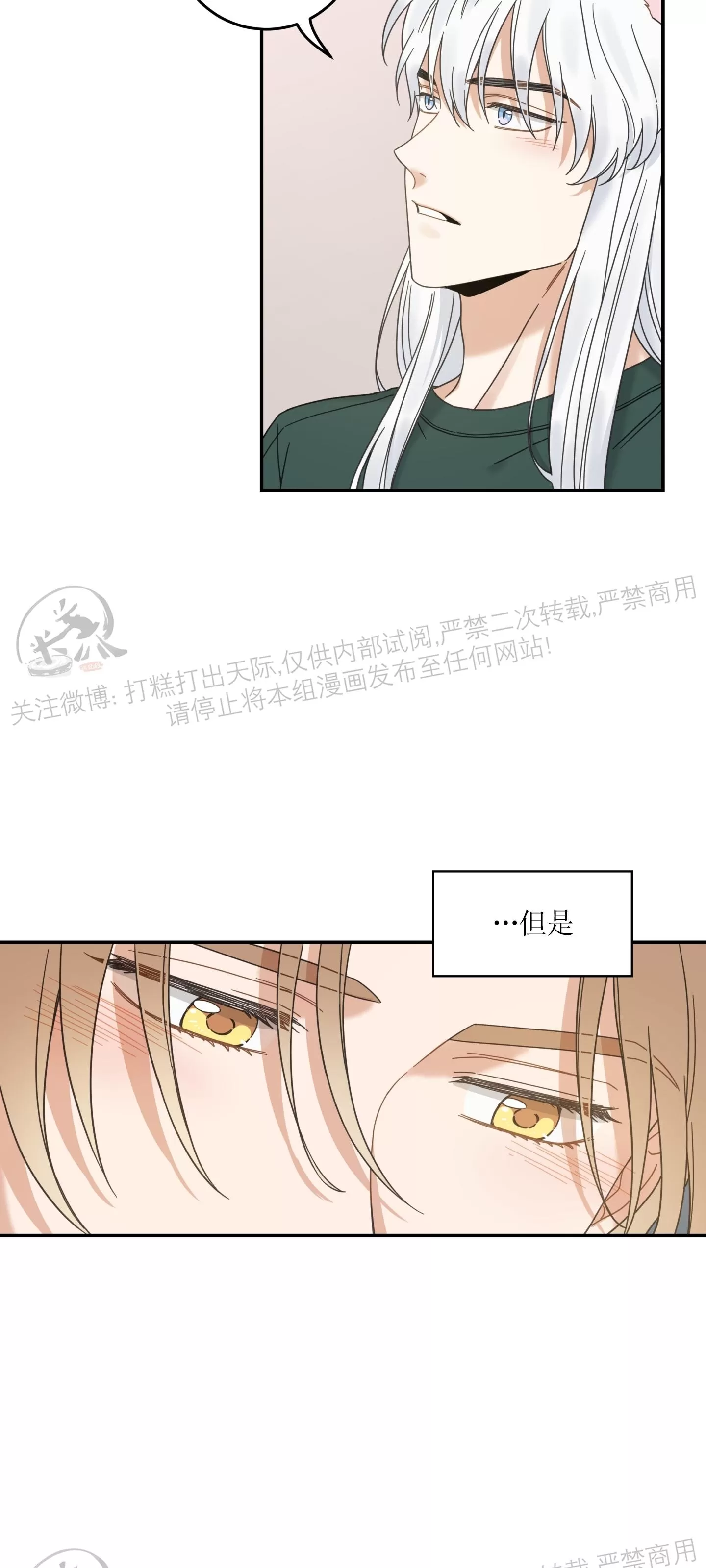 《我的专属喵喵/我的专属猫咪》漫画最新章节第64话免费下拉式在线观看章节第【5】张图片