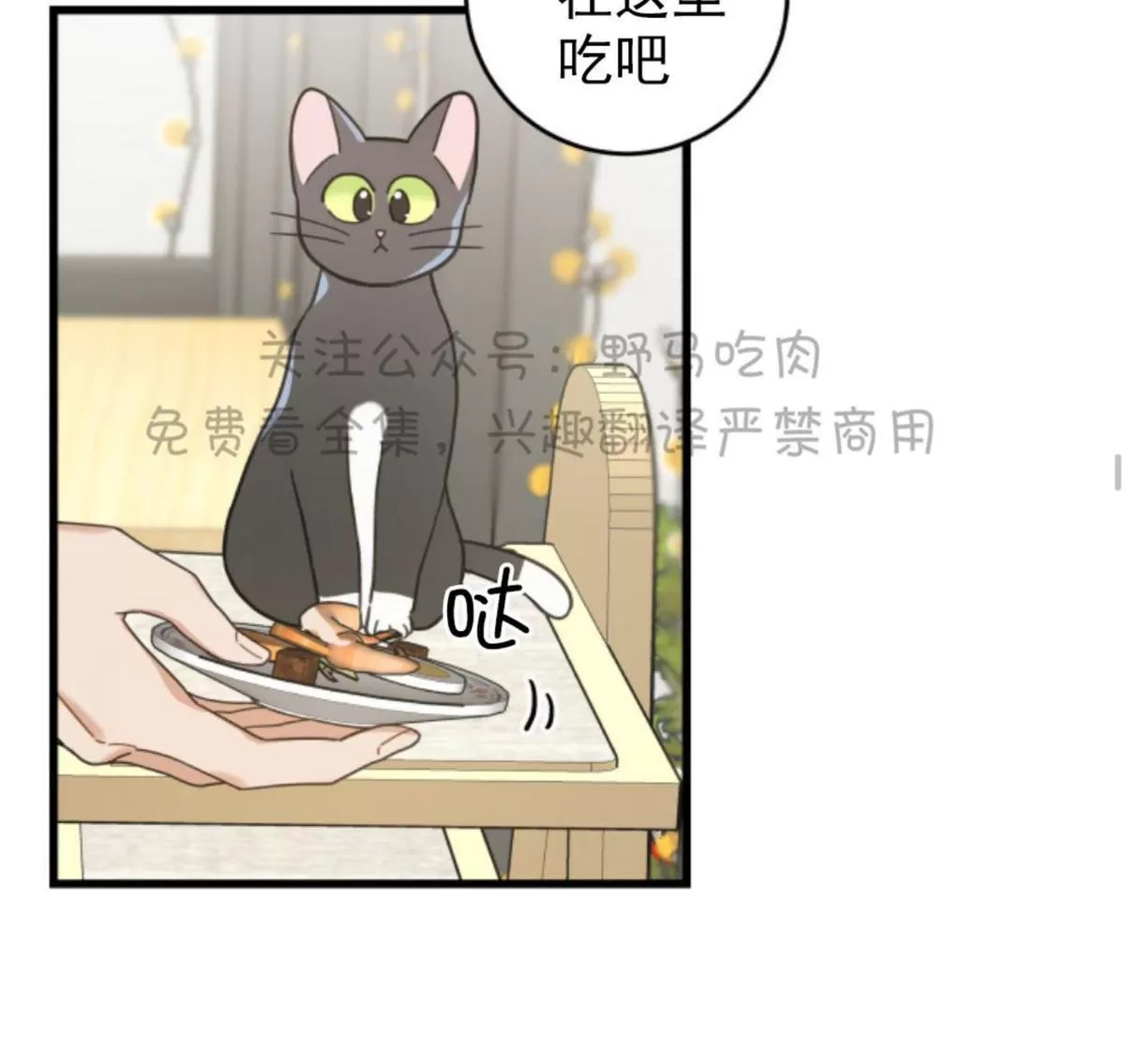 【我的专属喵喵/我的专属猫咪[耽美]】漫画-（ 第27话第一季完结 ）章节漫画下拉式图片-52.jpg