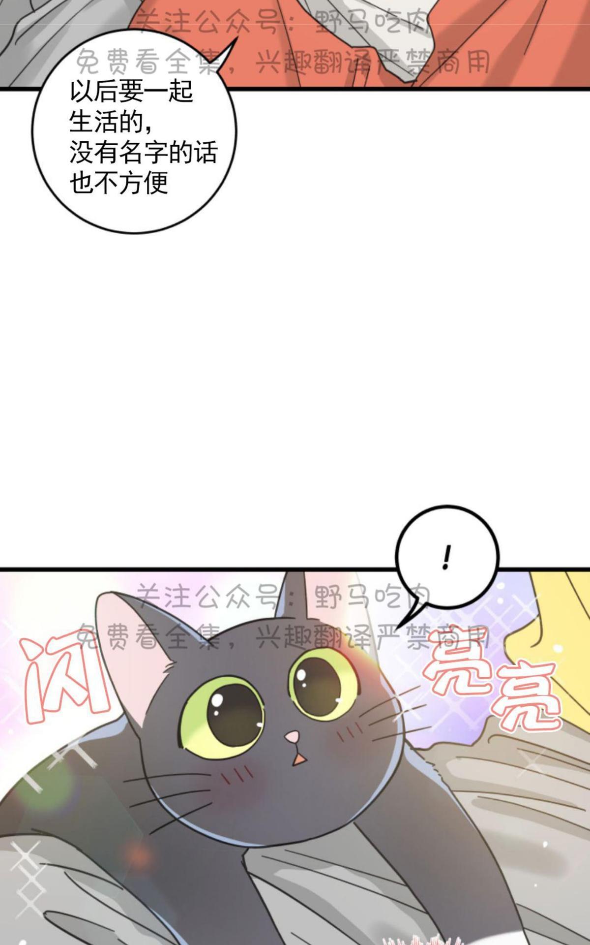 【我的专属喵喵/我的专属猫咪[腐漫]】漫画-（ 第27话第一季完结 ）章节漫画下拉式图片-9.jpg