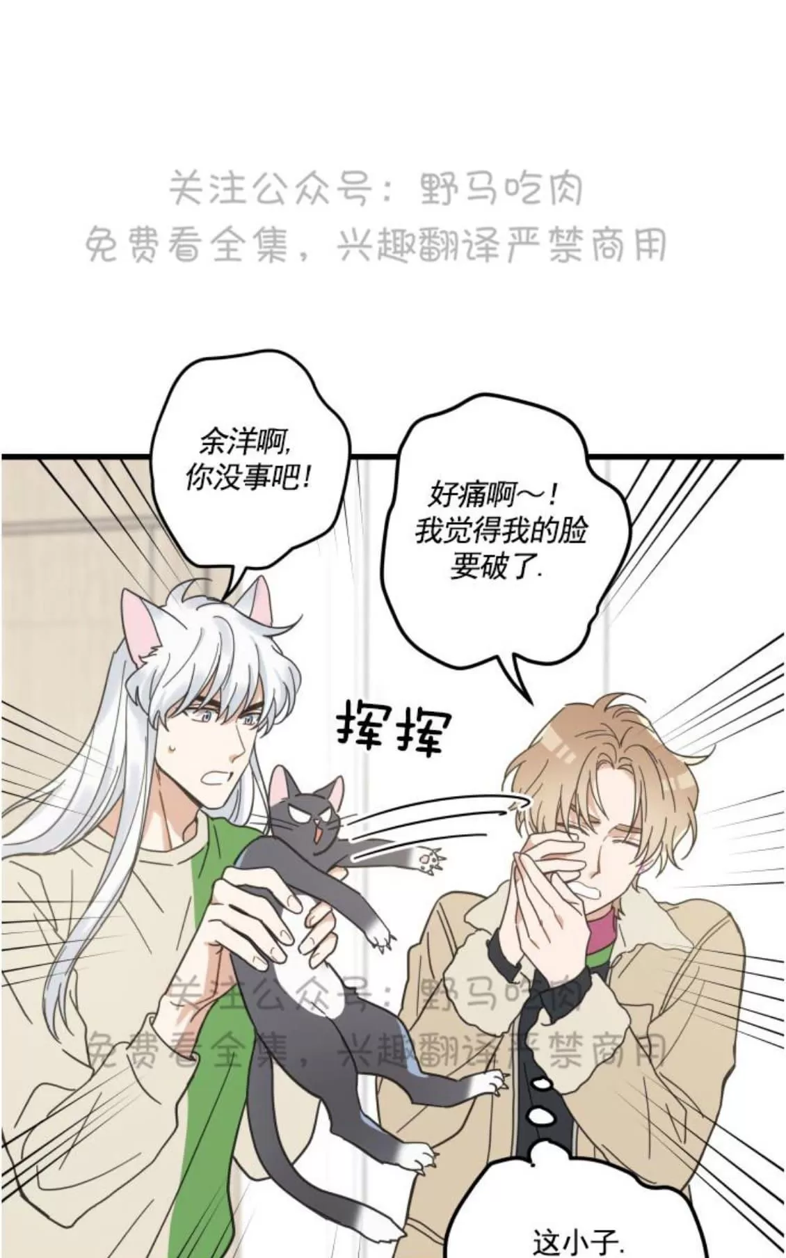 《我的专属喵喵/我的专属猫咪》漫画最新章节 第26话 免费下拉式在线观看章节第【12】张图片