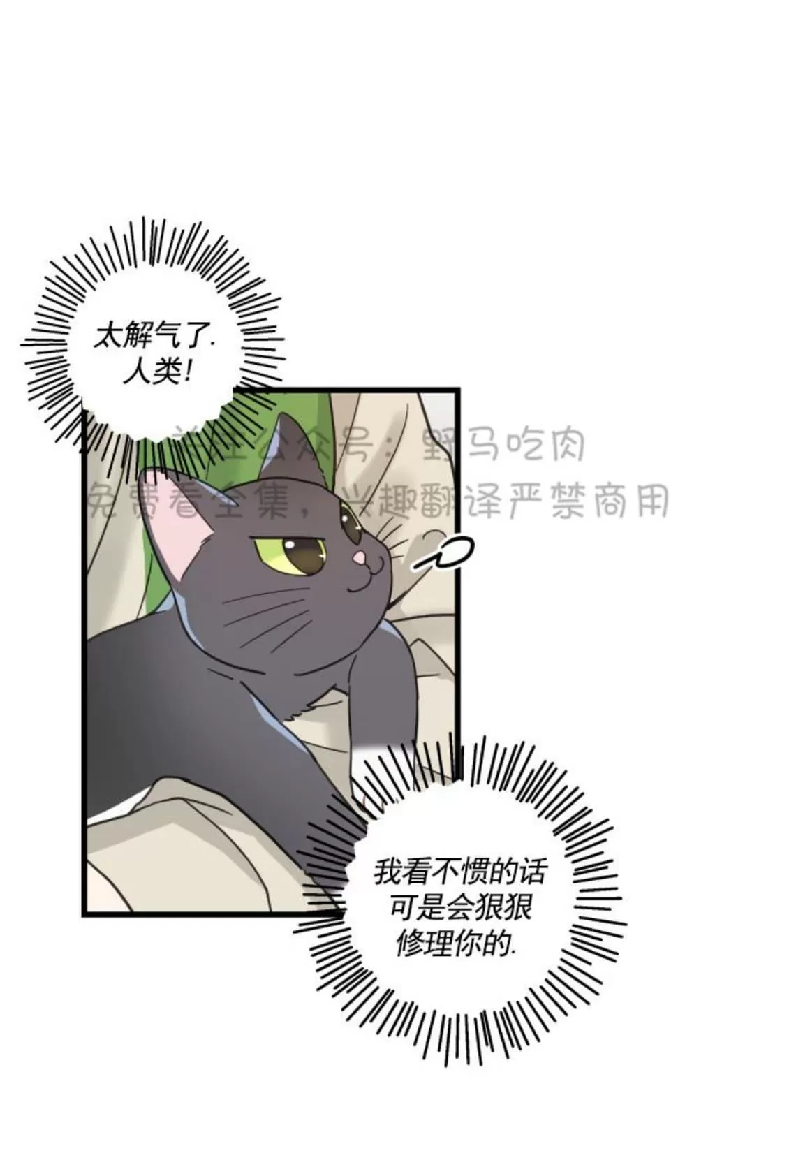 《我的专属喵喵/我的专属猫咪》漫画最新章节 第26话 免费下拉式在线观看章节第【15】张图片