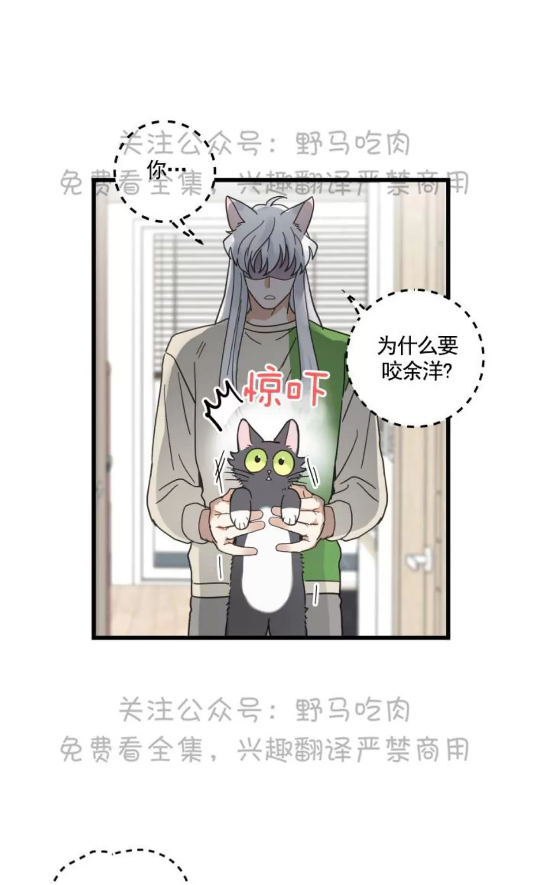 《我的专属喵喵/我的专属猫咪》漫画最新章节 第26话 免费下拉式在线观看章节第【16】张图片