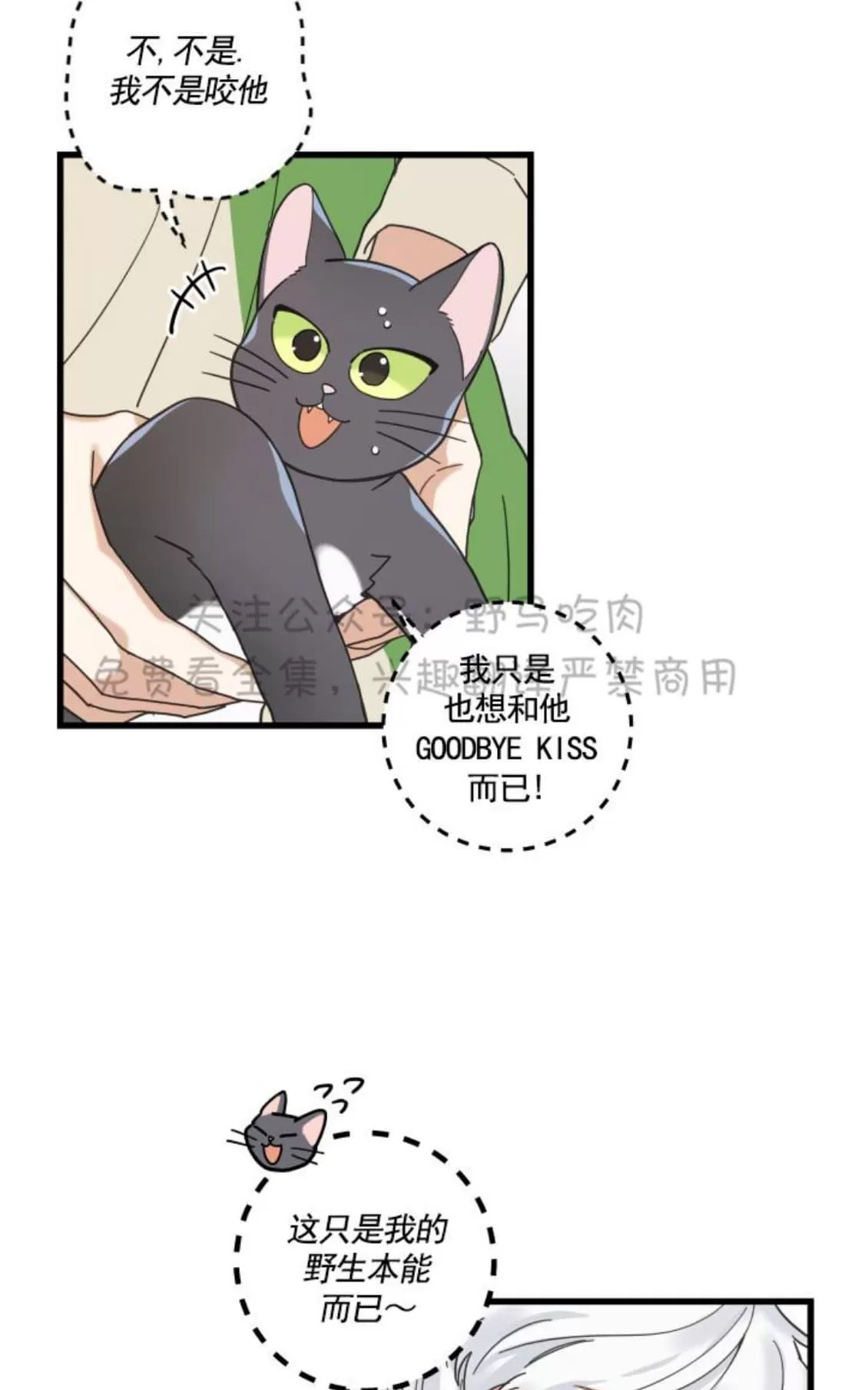 《我的专属喵喵/我的专属猫咪》漫画最新章节 第26话 免费下拉式在线观看章节第【17】张图片