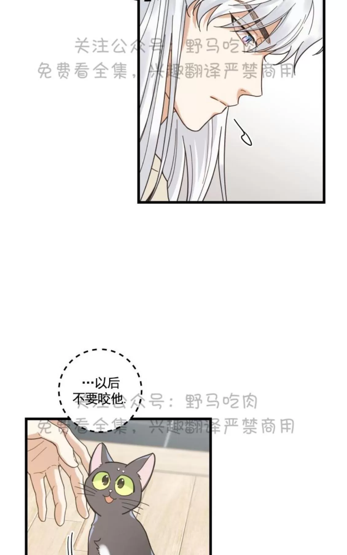 《我的专属喵喵/我的专属猫咪》漫画最新章节 第26话 免费下拉式在线观看章节第【18】张图片