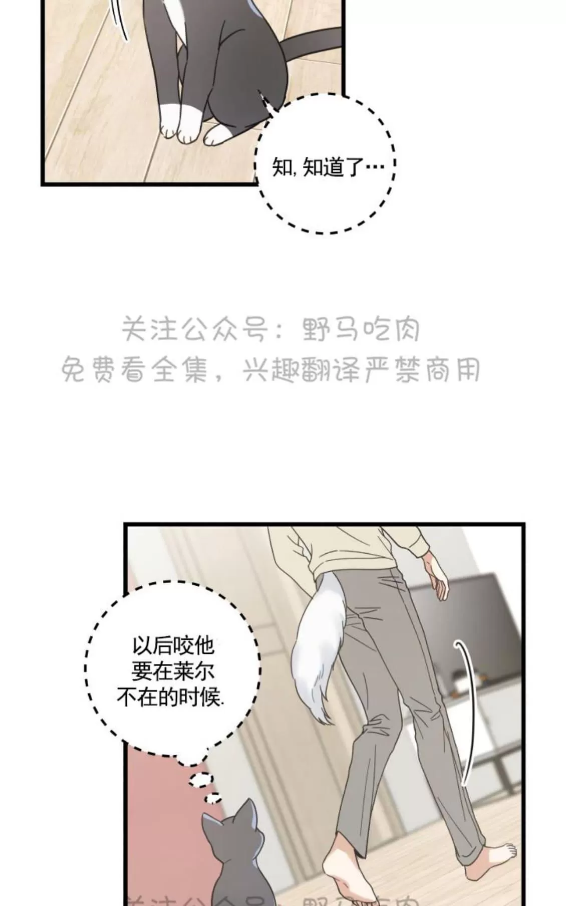 《我的专属喵喵/我的专属猫咪》漫画最新章节 第26话 免费下拉式在线观看章节第【19】张图片