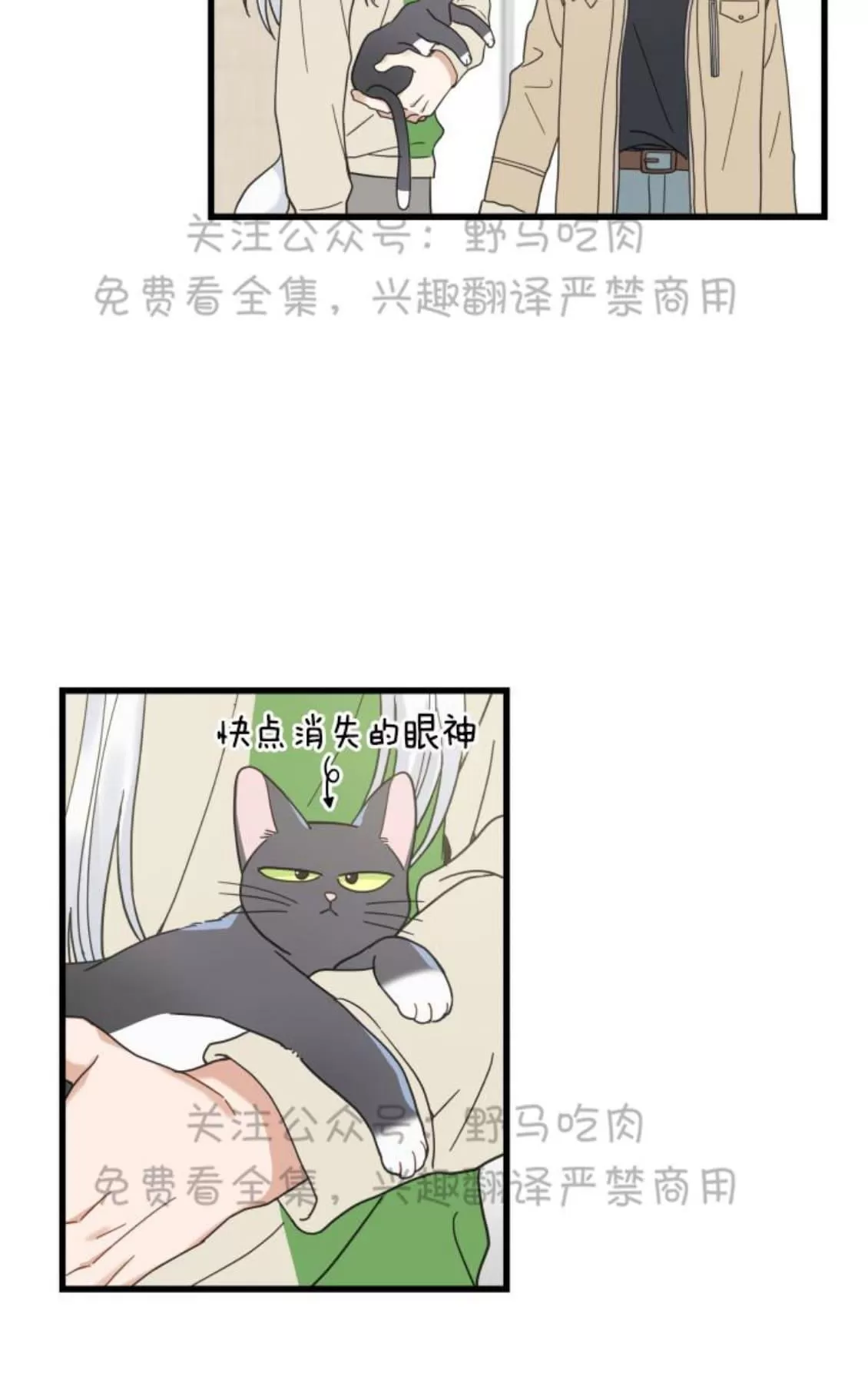 《我的专属喵喵/我的专属猫咪》漫画最新章节 第26话 免费下拉式在线观看章节第【2】张图片