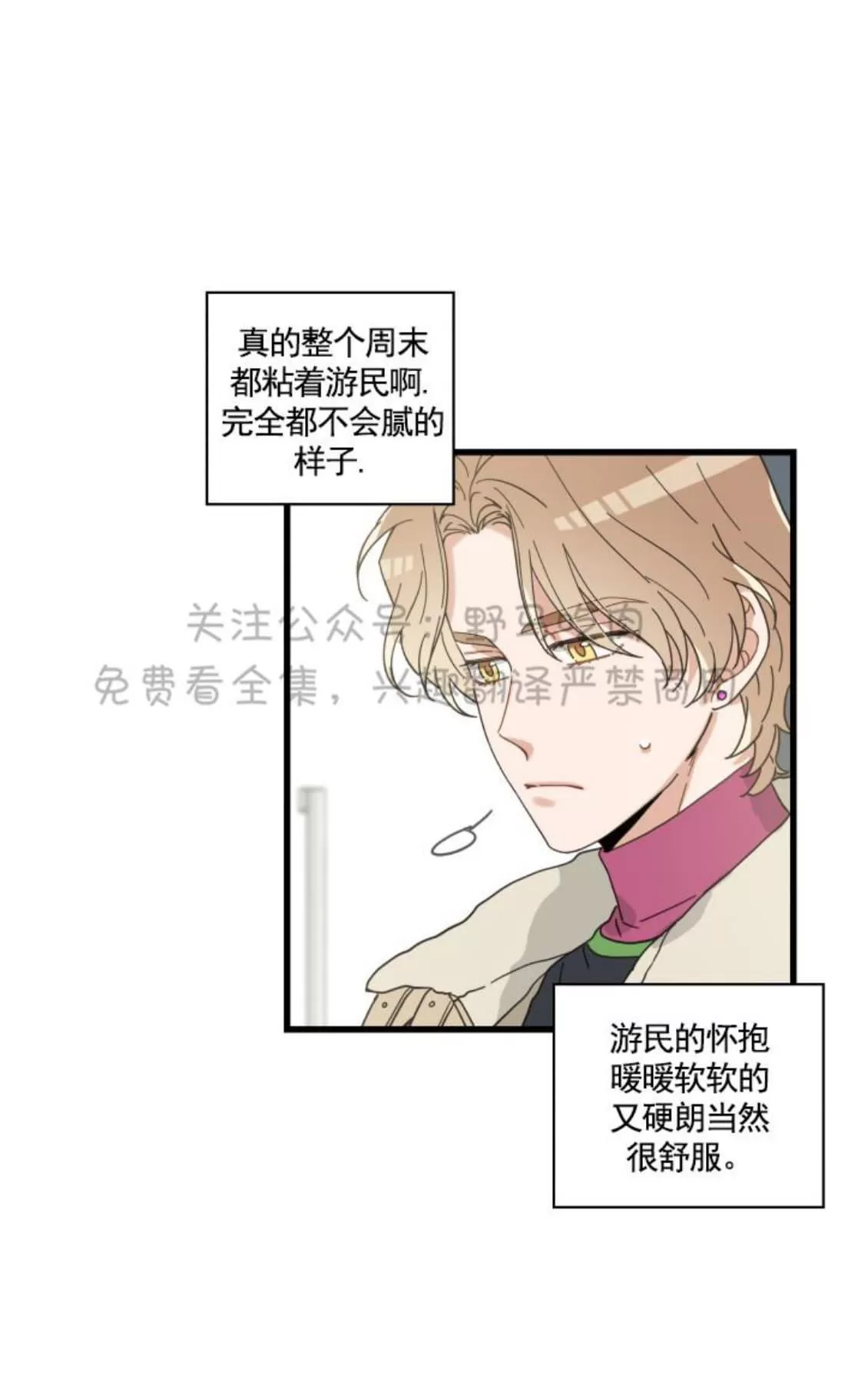 《我的专属喵喵/我的专属猫咪》漫画最新章节 第26话 免费下拉式在线观看章节第【3】张图片