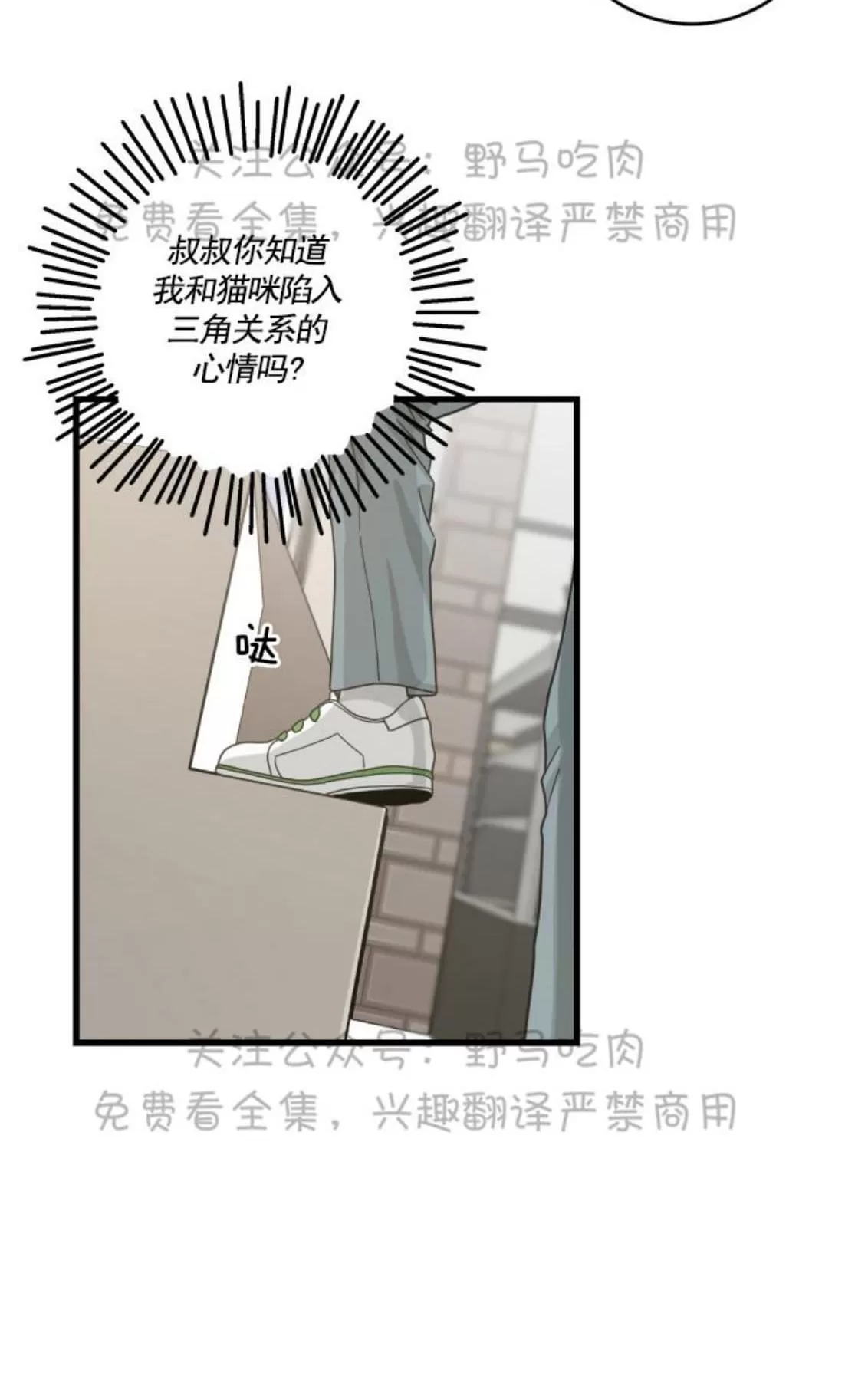 《我的专属喵喵/我的专属猫咪》漫画最新章节 第26话 免费下拉式在线观看章节第【33】张图片