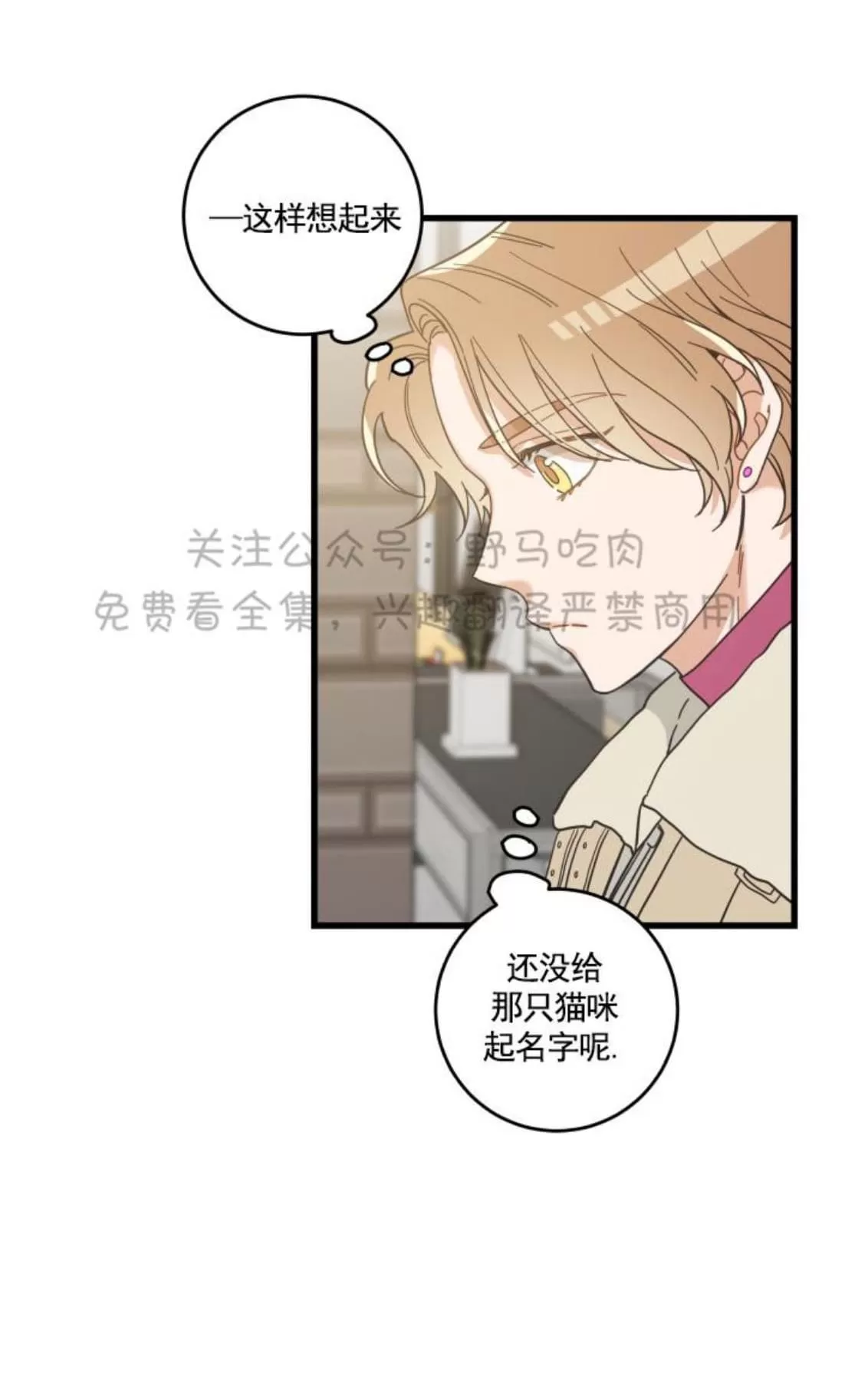 《我的专属喵喵/我的专属猫咪》漫画最新章节 第26话 免费下拉式在线观看章节第【34】张图片