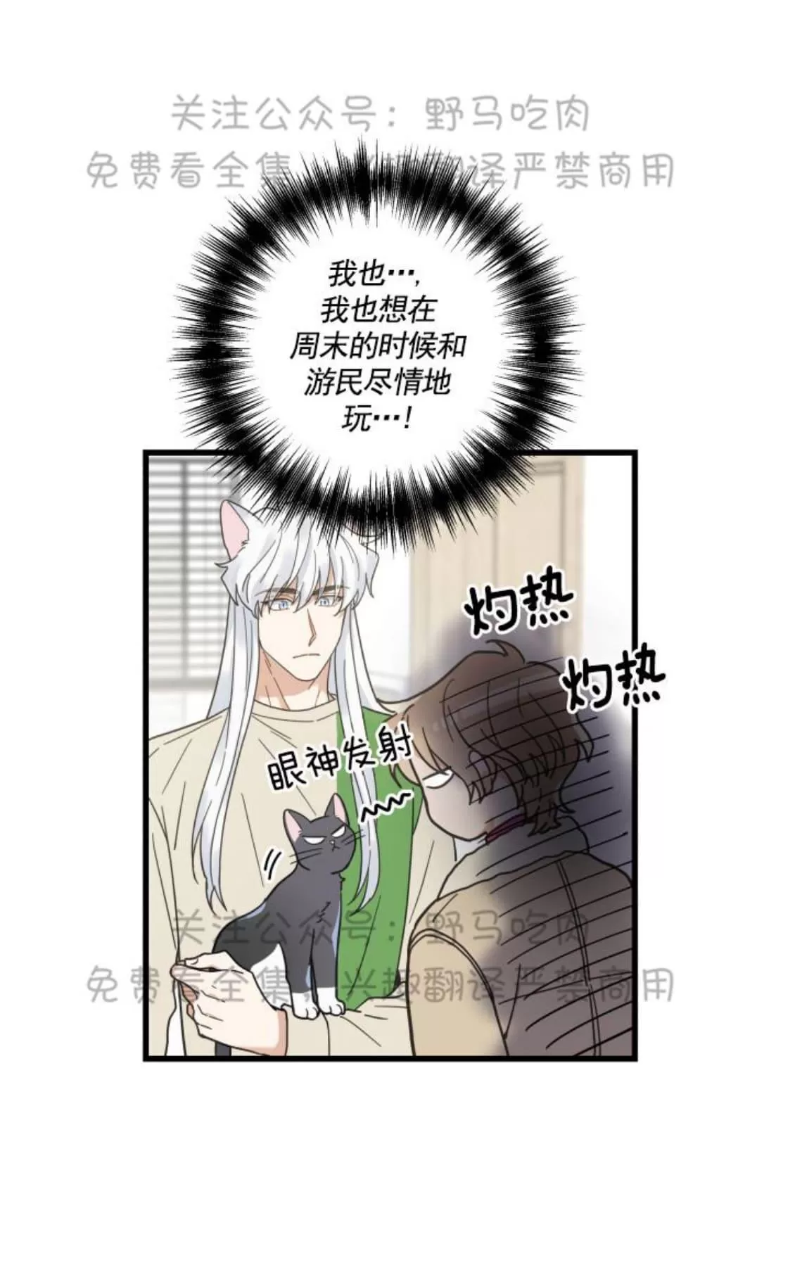 《我的专属喵喵/我的专属猫咪》漫画最新章节 第26话 免费下拉式在线观看章节第【4】张图片