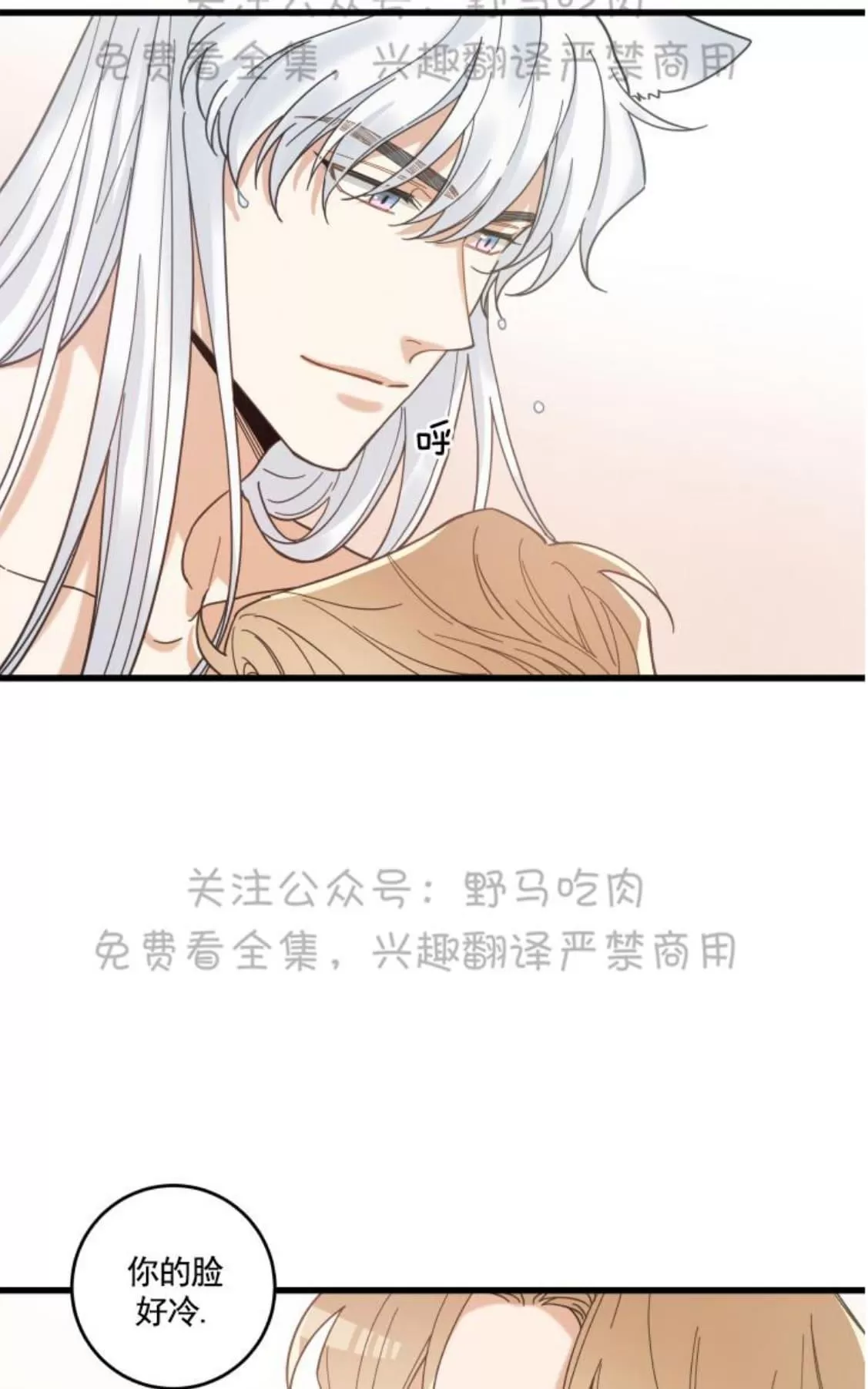 《我的专属喵喵/我的专属猫咪》漫画最新章节 第26话 免费下拉式在线观看章节第【42】张图片