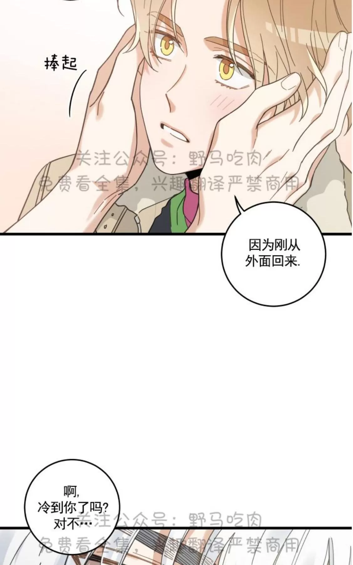 《我的专属喵喵/我的专属猫咪》漫画最新章节 第26话 免费下拉式在线观看章节第【43】张图片