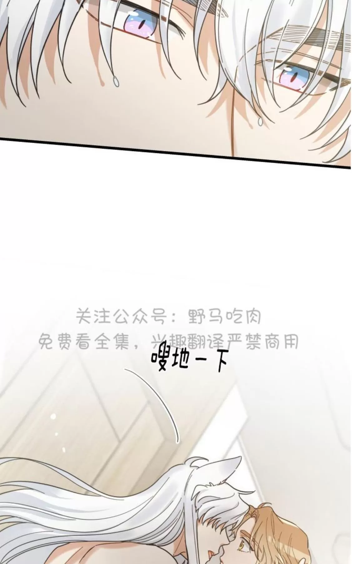 《我的专属喵喵/我的专属猫咪》漫画最新章节 第26话 免费下拉式在线观看章节第【44】张图片