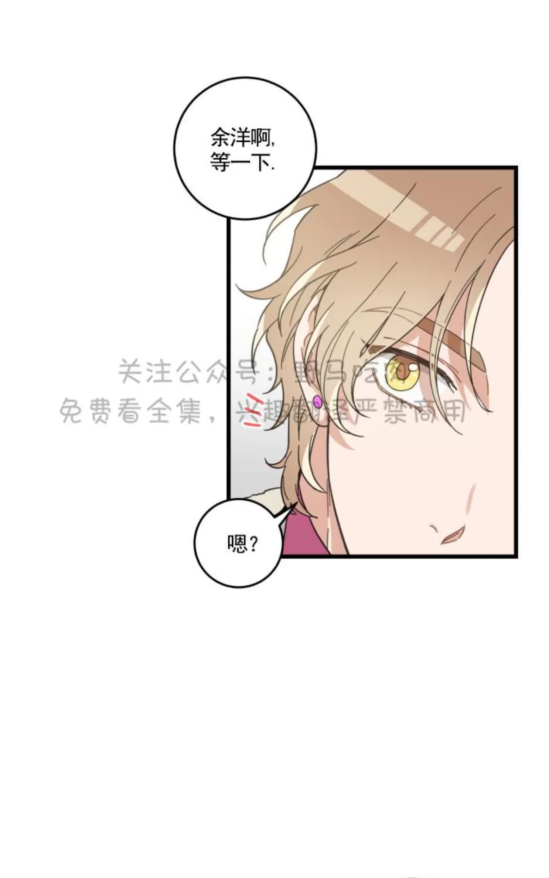 《我的专属喵喵/我的专属猫咪》漫画最新章节 第26话 免费下拉式在线观看章节第【7】张图片