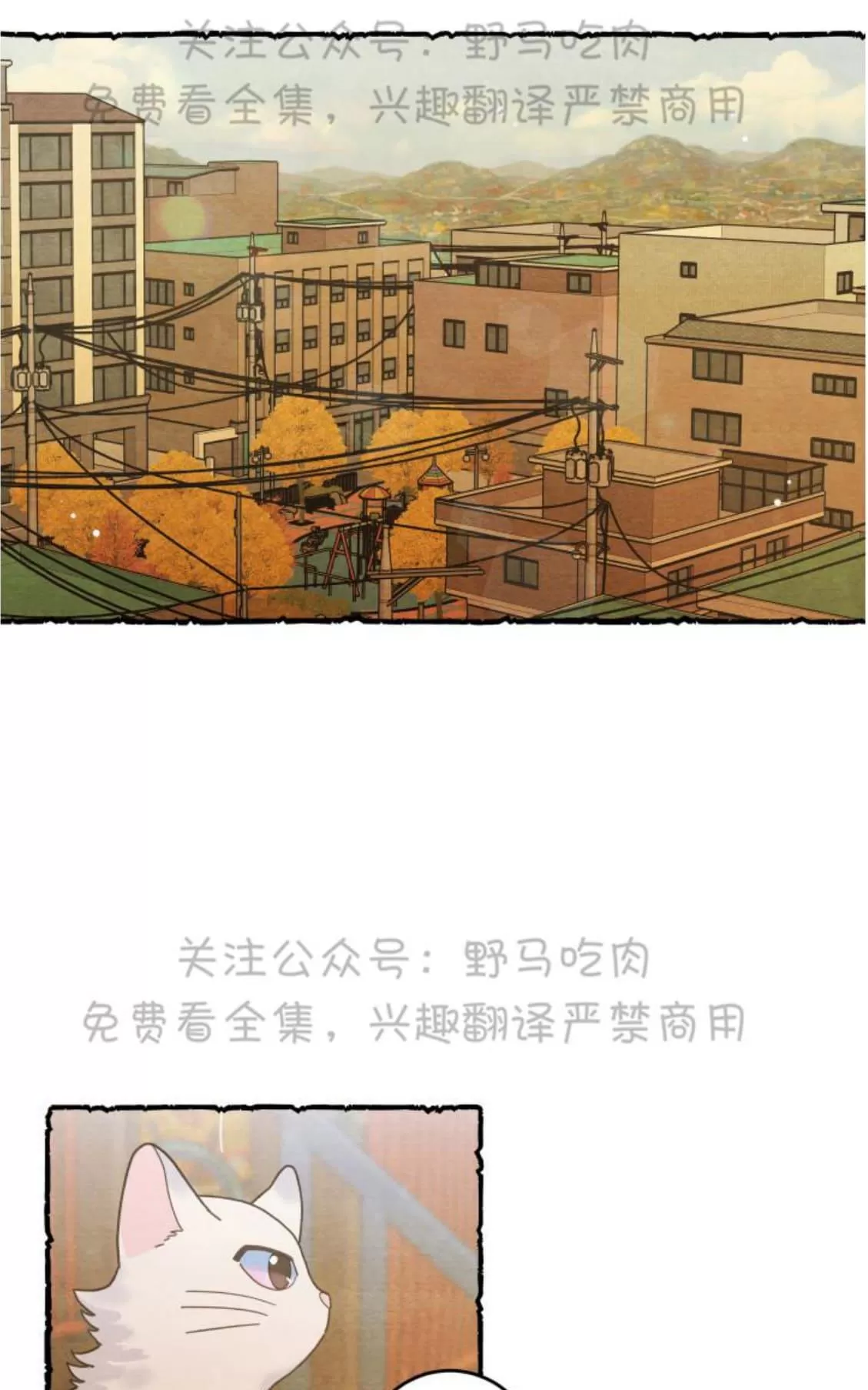 《我的专属喵喵/我的专属猫咪》漫画最新章节 第25话 免费下拉式在线观看章节第【1】张图片