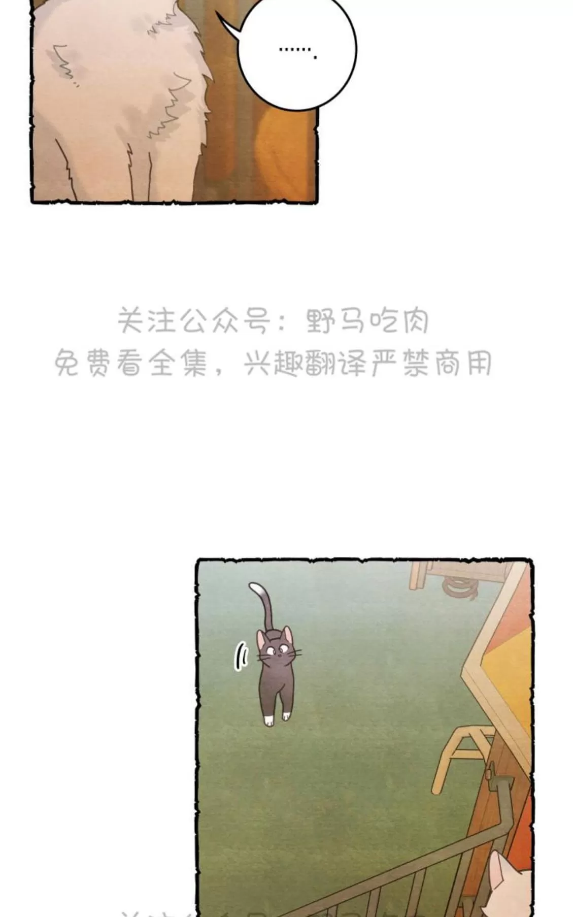 《我的专属喵喵/我的专属猫咪》漫画最新章节 第25话 免费下拉式在线观看章节第【2】张图片