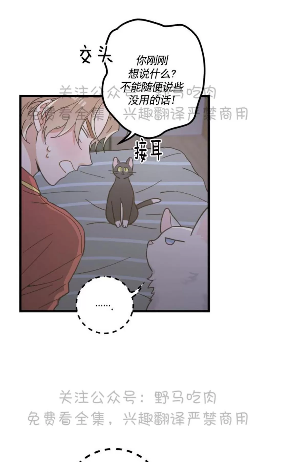 《我的专属喵喵/我的专属猫咪》漫画最新章节 第25话 免费下拉式在线观看章节第【20】张图片