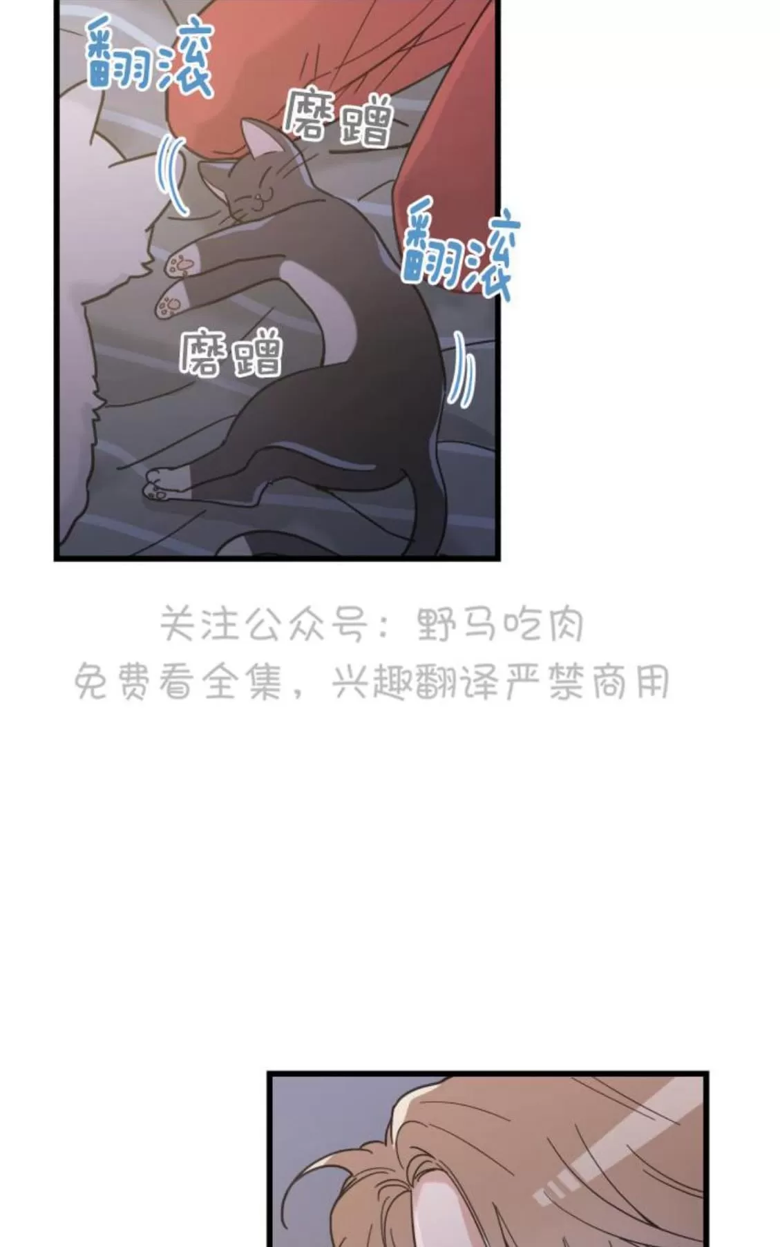 《我的专属喵喵/我的专属猫咪》漫画最新章节 第25话 免费下拉式在线观看章节第【23】张图片