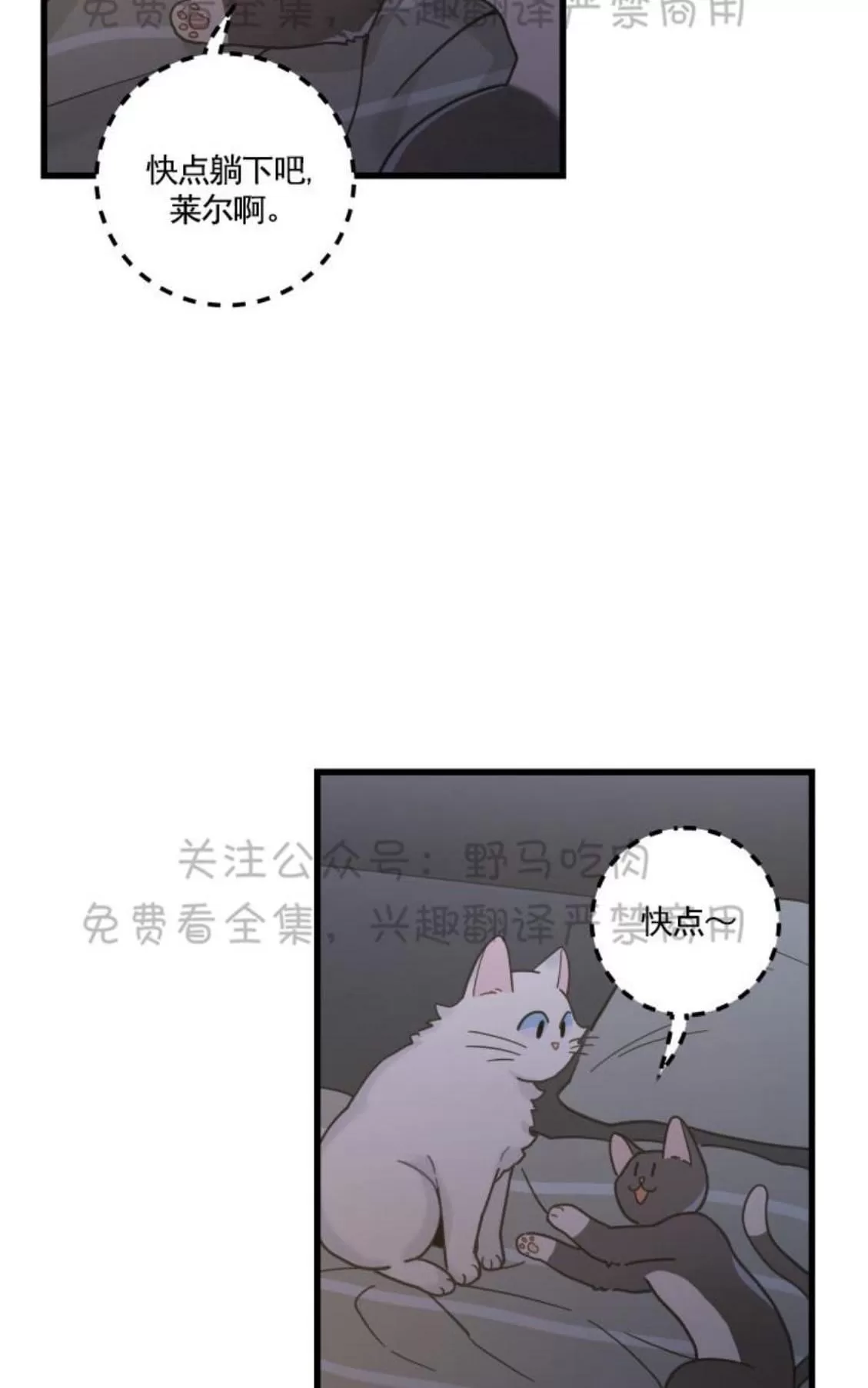 《我的专属喵喵/我的专属猫咪》漫画最新章节 第25话 免费下拉式在线观看章节第【27】张图片