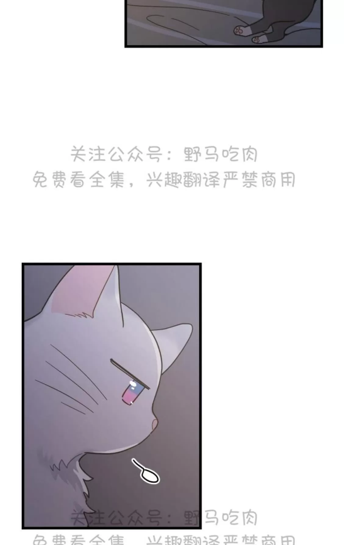 《我的专属喵喵/我的专属猫咪》漫画最新章节 第25话 免费下拉式在线观看章节第【28】张图片