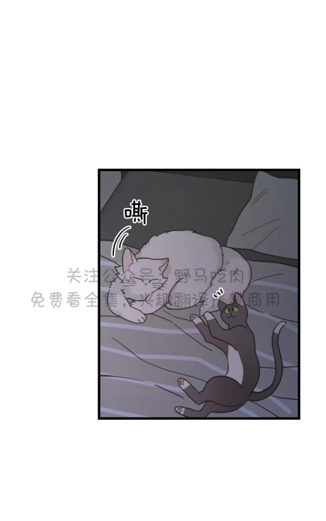 《我的专属喵喵/我的专属猫咪》漫画最新章节 第25话 免费下拉式在线观看章节第【29】张图片