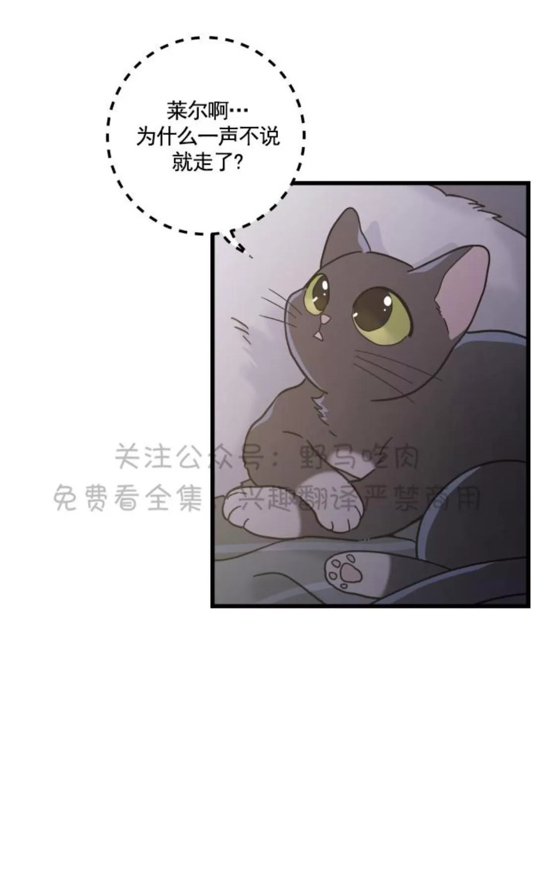 《我的专属喵喵/我的专属猫咪》漫画最新章节 第25话 免费下拉式在线观看章节第【31】张图片