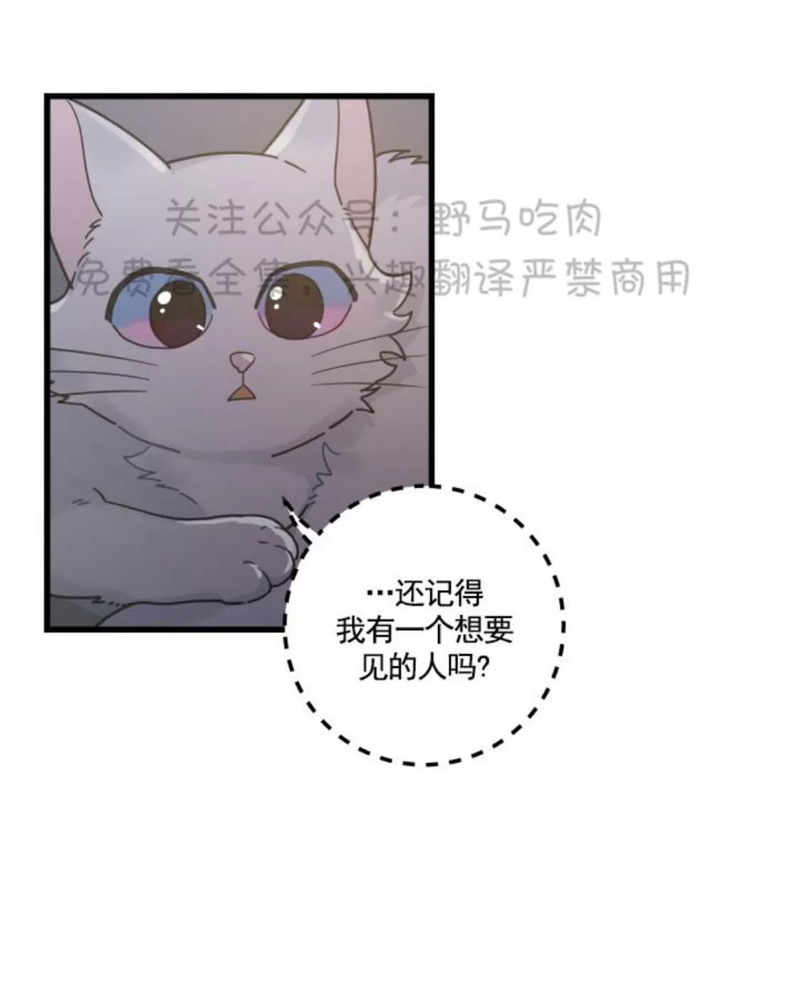 《我的专属喵喵/我的专属猫咪》漫画最新章节 第25话 免费下拉式在线观看章节第【32】张图片