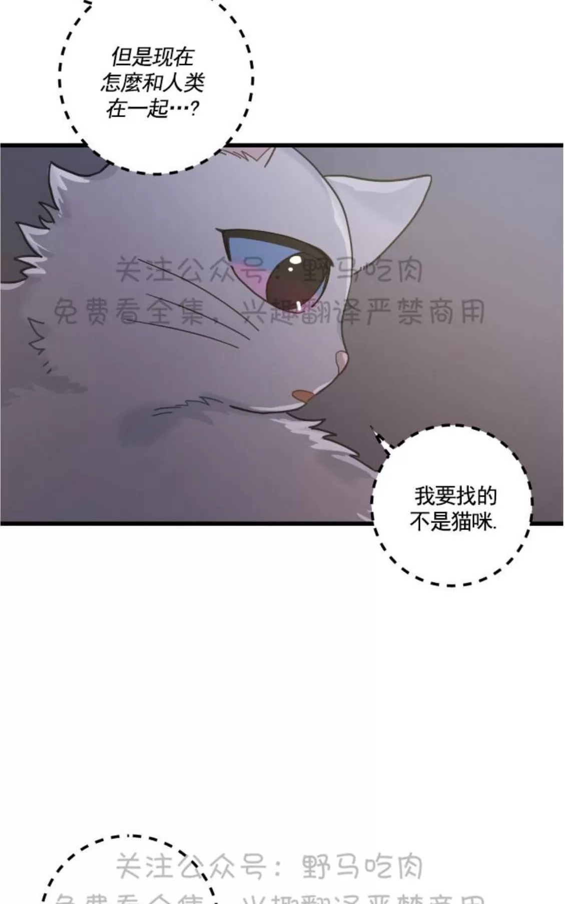 《我的专属喵喵/我的专属猫咪》漫画最新章节 第25话 免费下拉式在线观看章节第【34】张图片