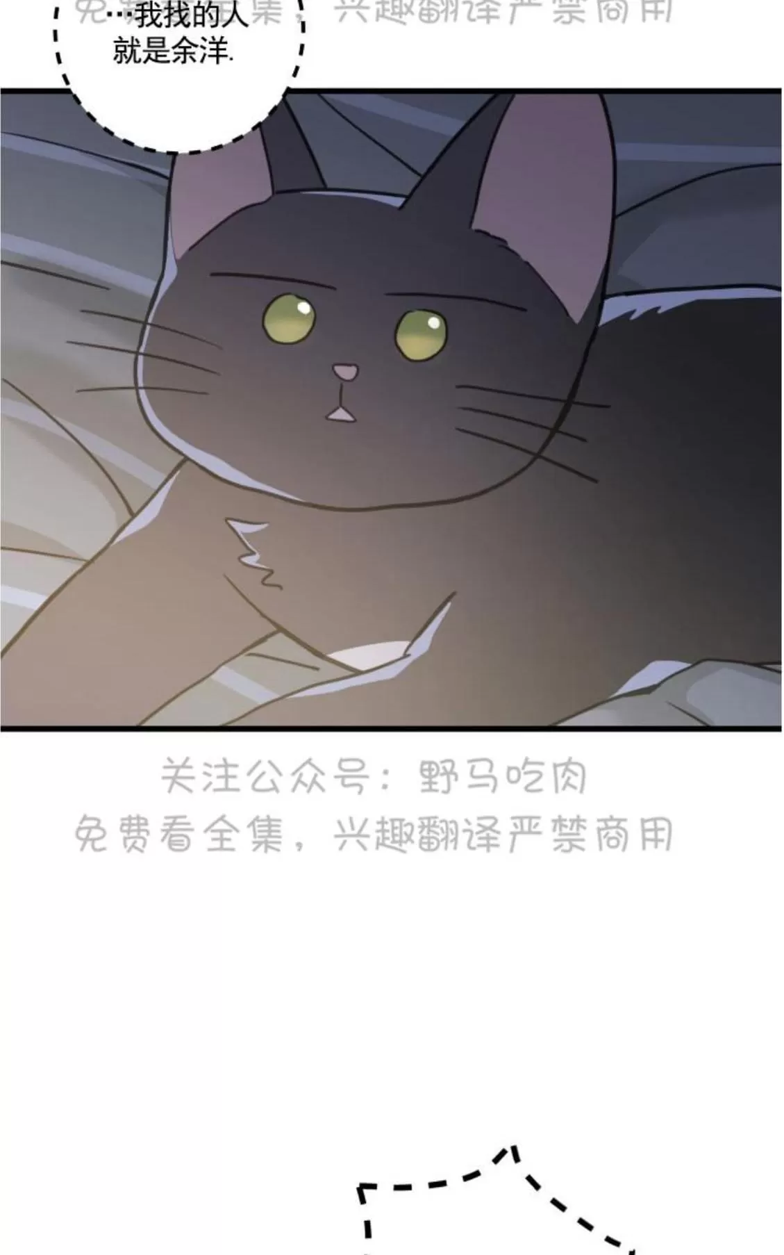 《我的专属喵喵/我的专属猫咪》漫画最新章节 第25话 免费下拉式在线观看章节第【35】张图片