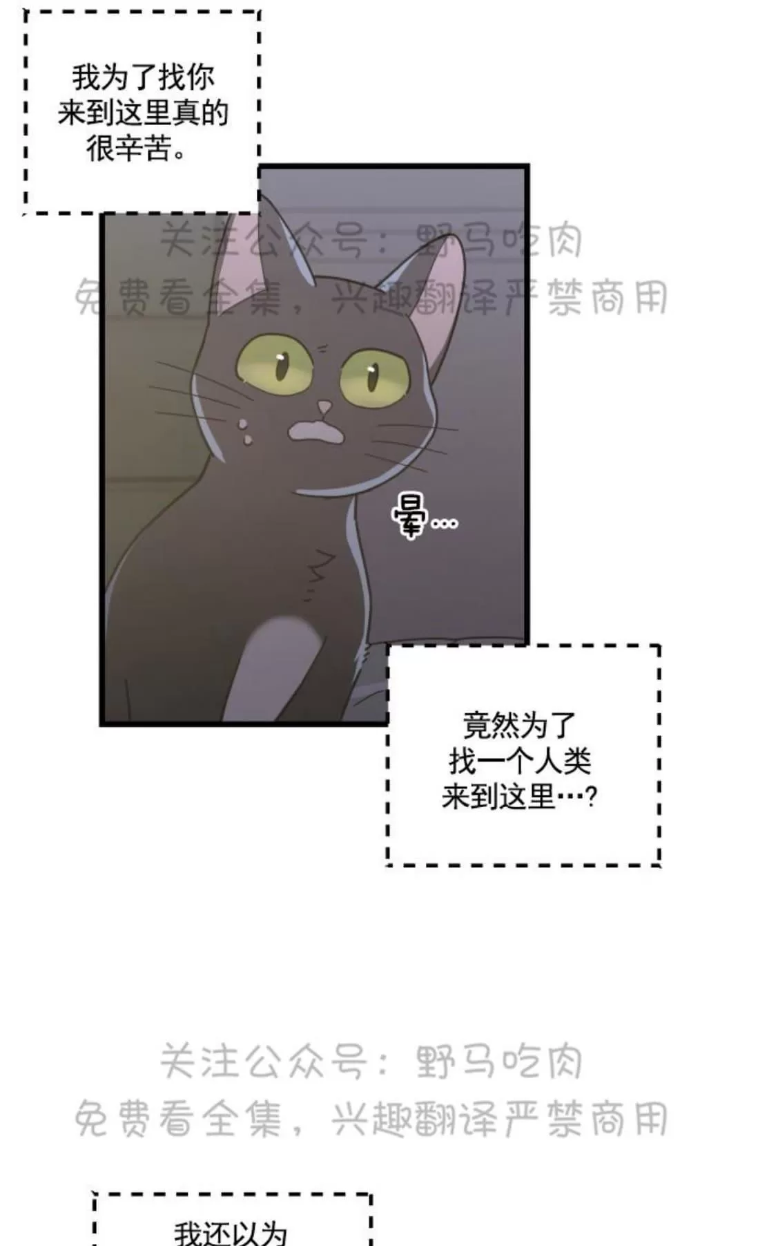 《我的专属喵喵/我的专属猫咪》漫画最新章节 第25话 免费下拉式在线观看章节第【37】张图片