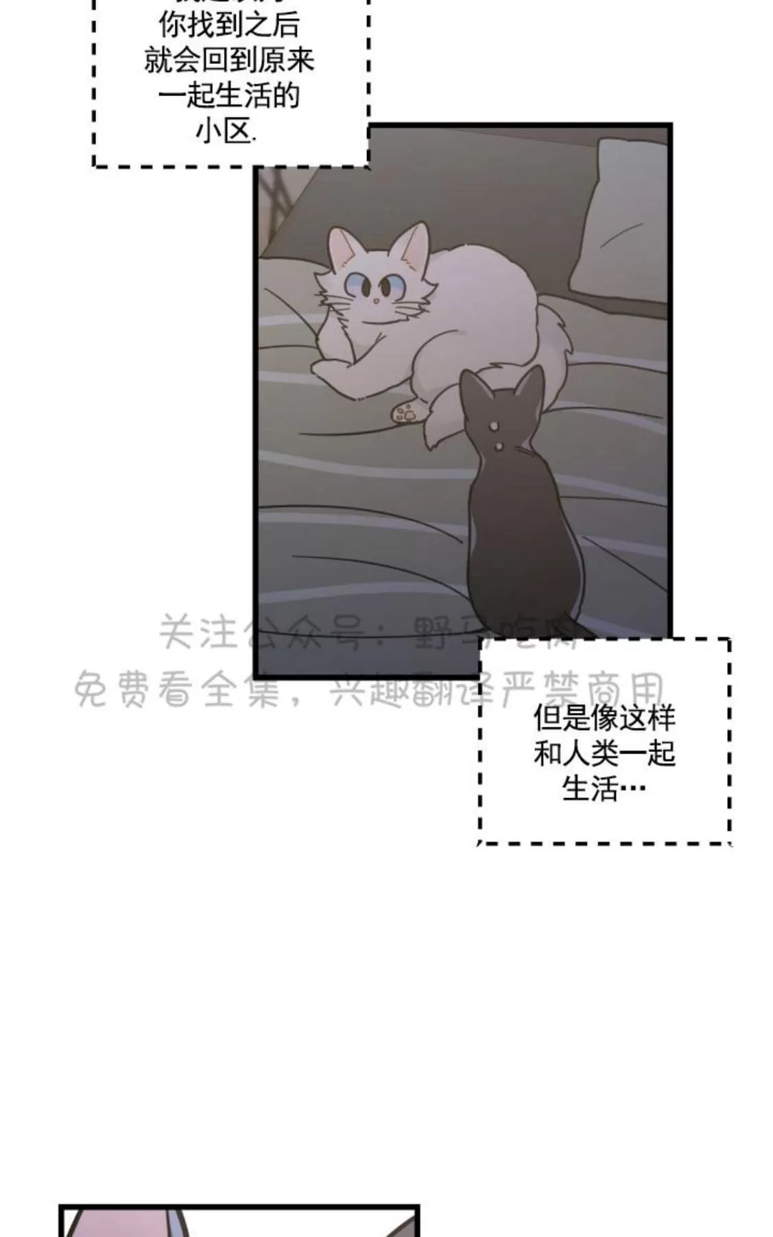 《我的专属喵喵/我的专属猫咪》漫画最新章节 第25话 免费下拉式在线观看章节第【38】张图片