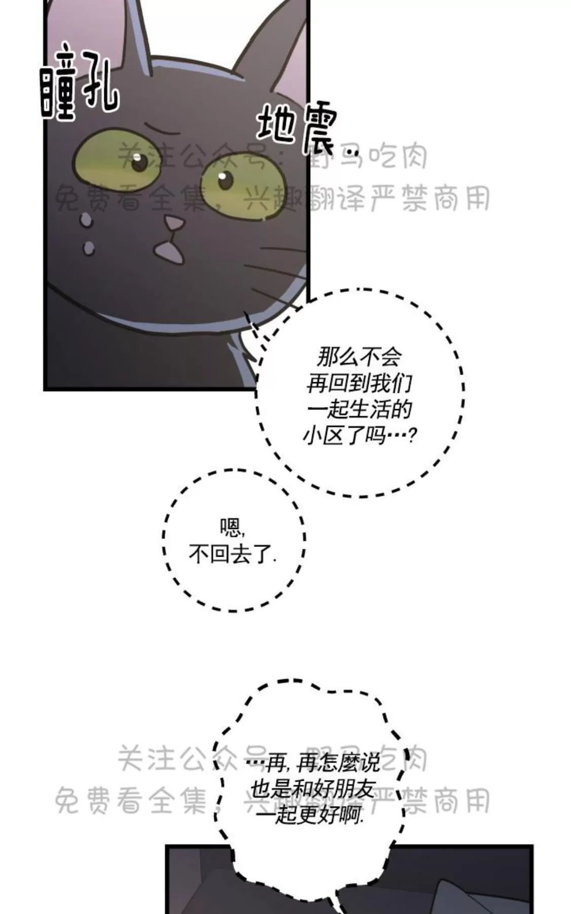 《我的专属喵喵/我的专属猫咪》漫画最新章节 第25话 免费下拉式在线观看章节第【39】张图片