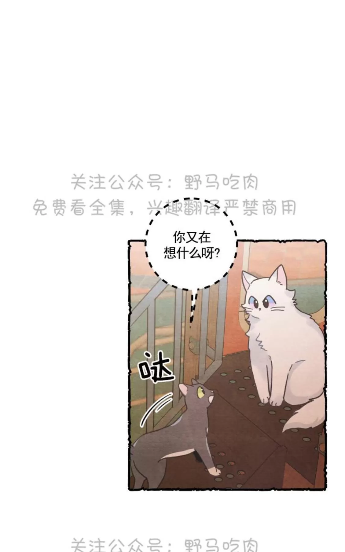 《我的专属喵喵/我的专属猫咪》漫画最新章节 第25话 免费下拉式在线观看章节第【4】张图片