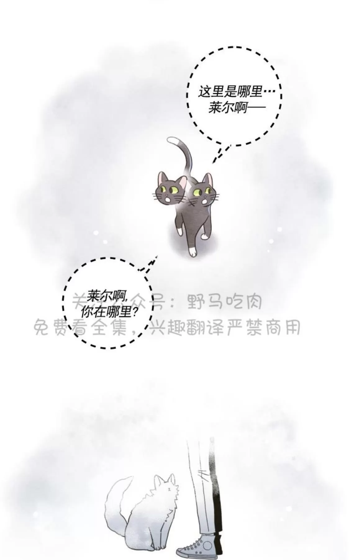 《我的专属喵喵/我的专属猫咪》漫画最新章节 第25话 免费下拉式在线观看章节第【44】张图片