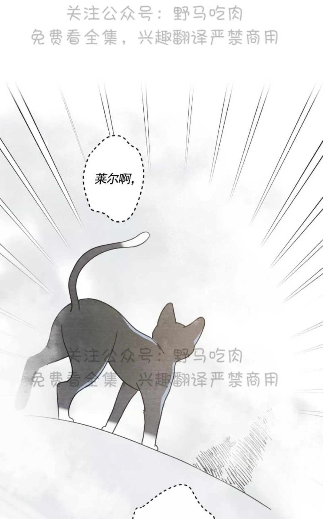 《我的专属喵喵/我的专属猫咪》漫画最新章节 第25话 免费下拉式在线观看章节第【48】张图片