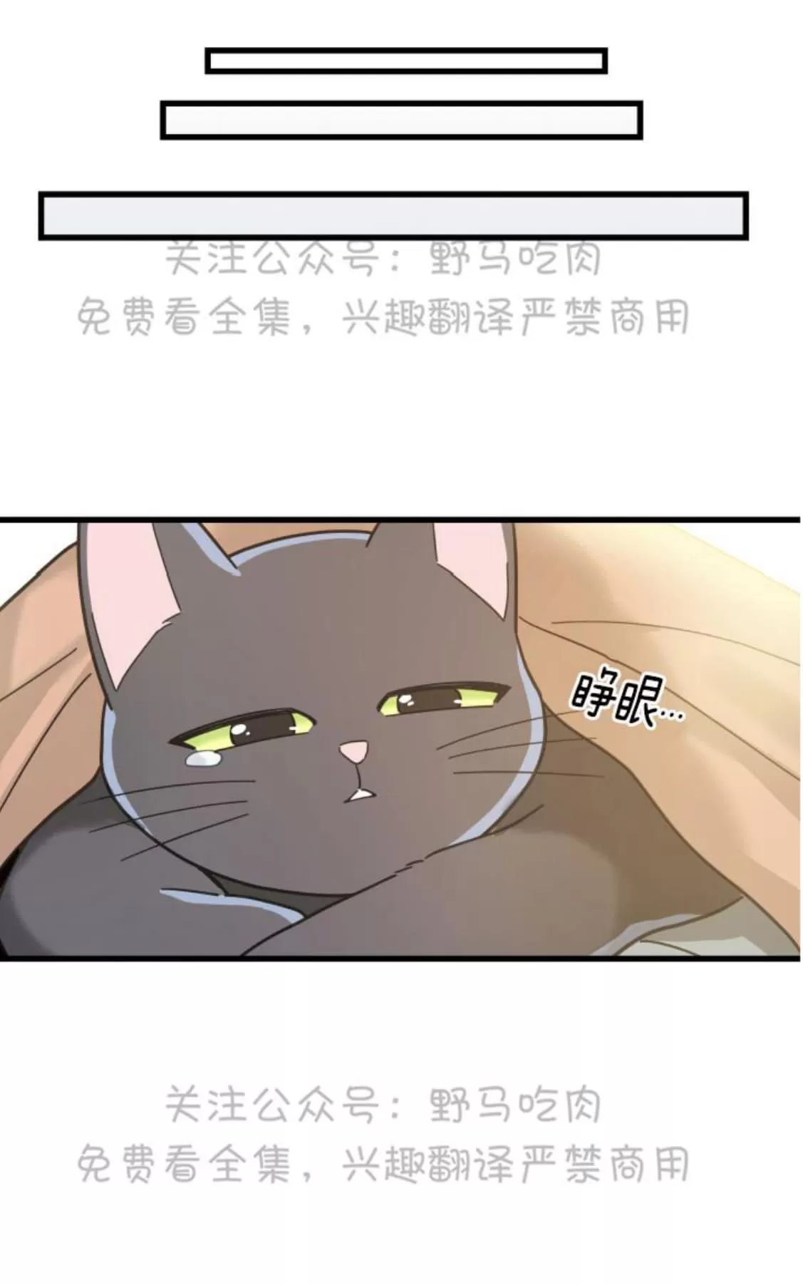 《我的专属喵喵/我的专属猫咪》漫画最新章节 第25话 免费下拉式在线观看章节第【51】张图片