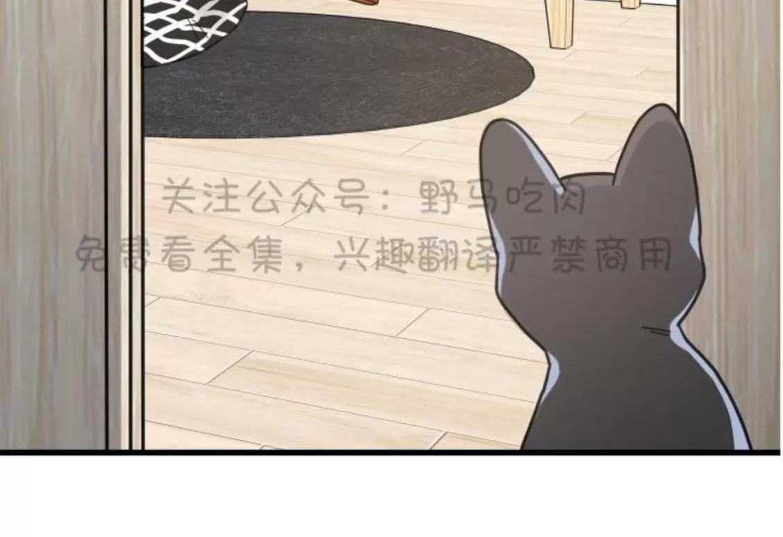 《我的专属喵喵/我的专属猫咪》漫画最新章节 第25话 免费下拉式在线观看章节第【55】张图片