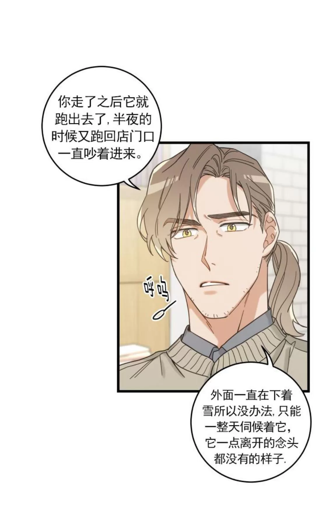 《我的专属喵喵/我的专属猫咪》漫画最新章节 第23话 免费下拉式在线观看章节第【5】张图片