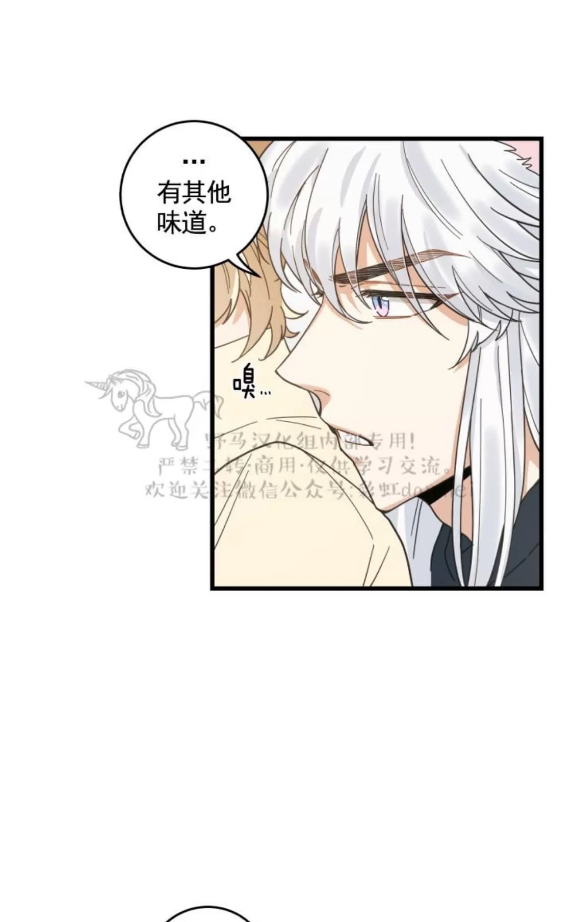 《我的专属喵喵/我的专属猫咪》漫画最新章节 第22话 免费下拉式在线观看章节第【12】张图片