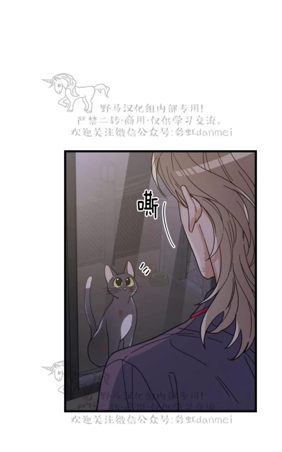 《我的专属喵喵/我的专属猫咪》漫画最新章节 第22话 免费下拉式在线观看章节第【55】张图片